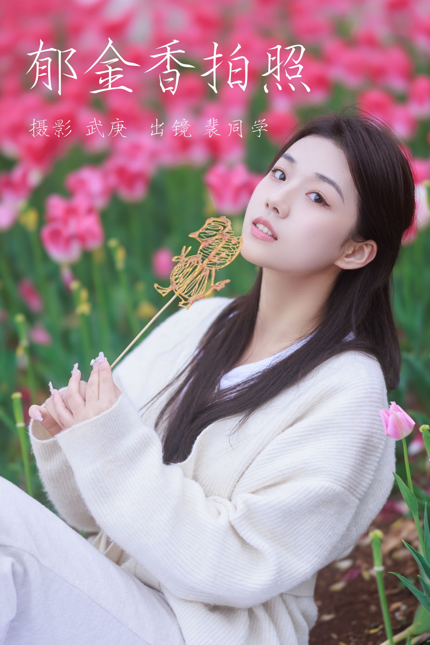 郁金香拍照