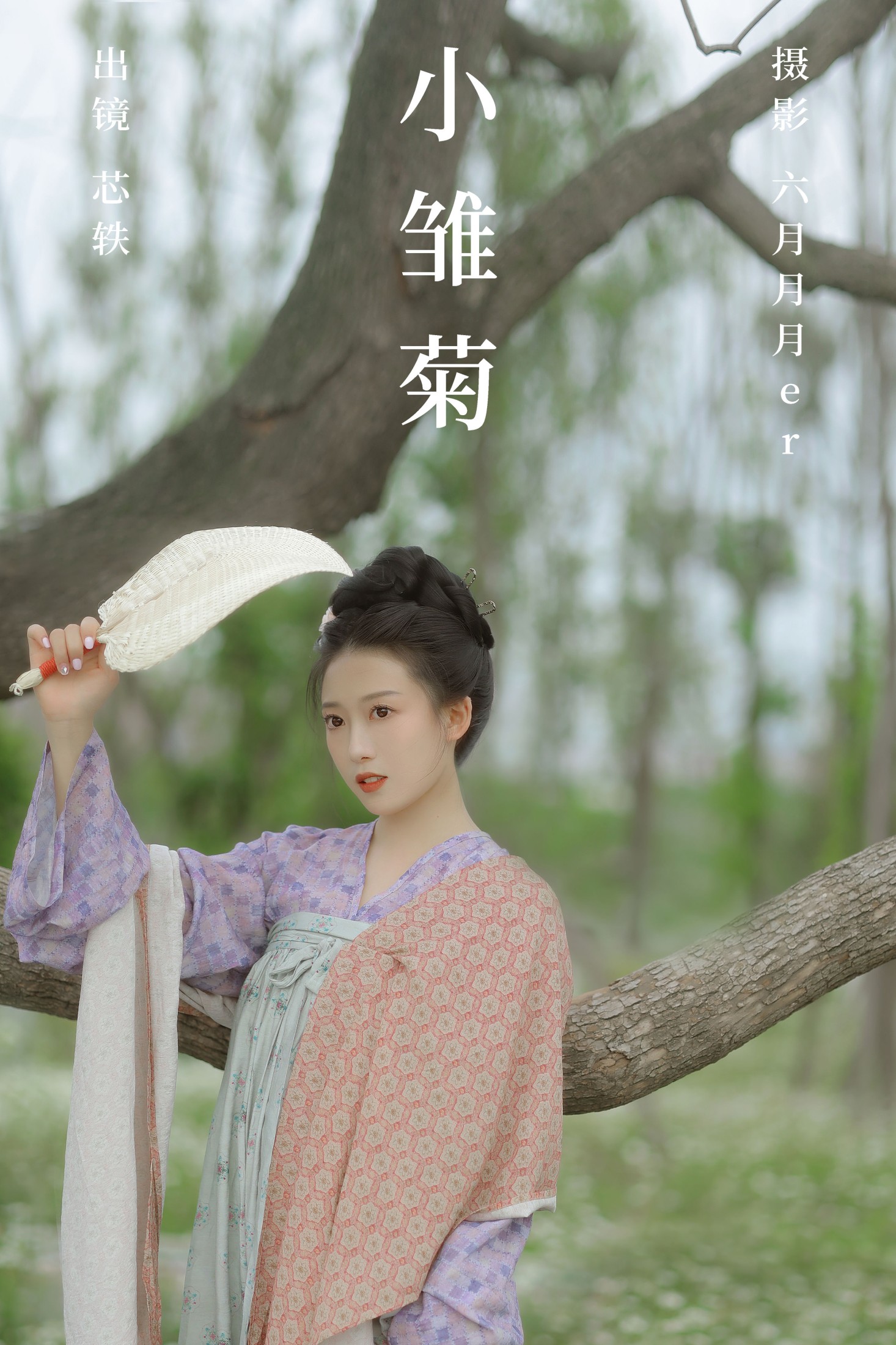 小雏菊