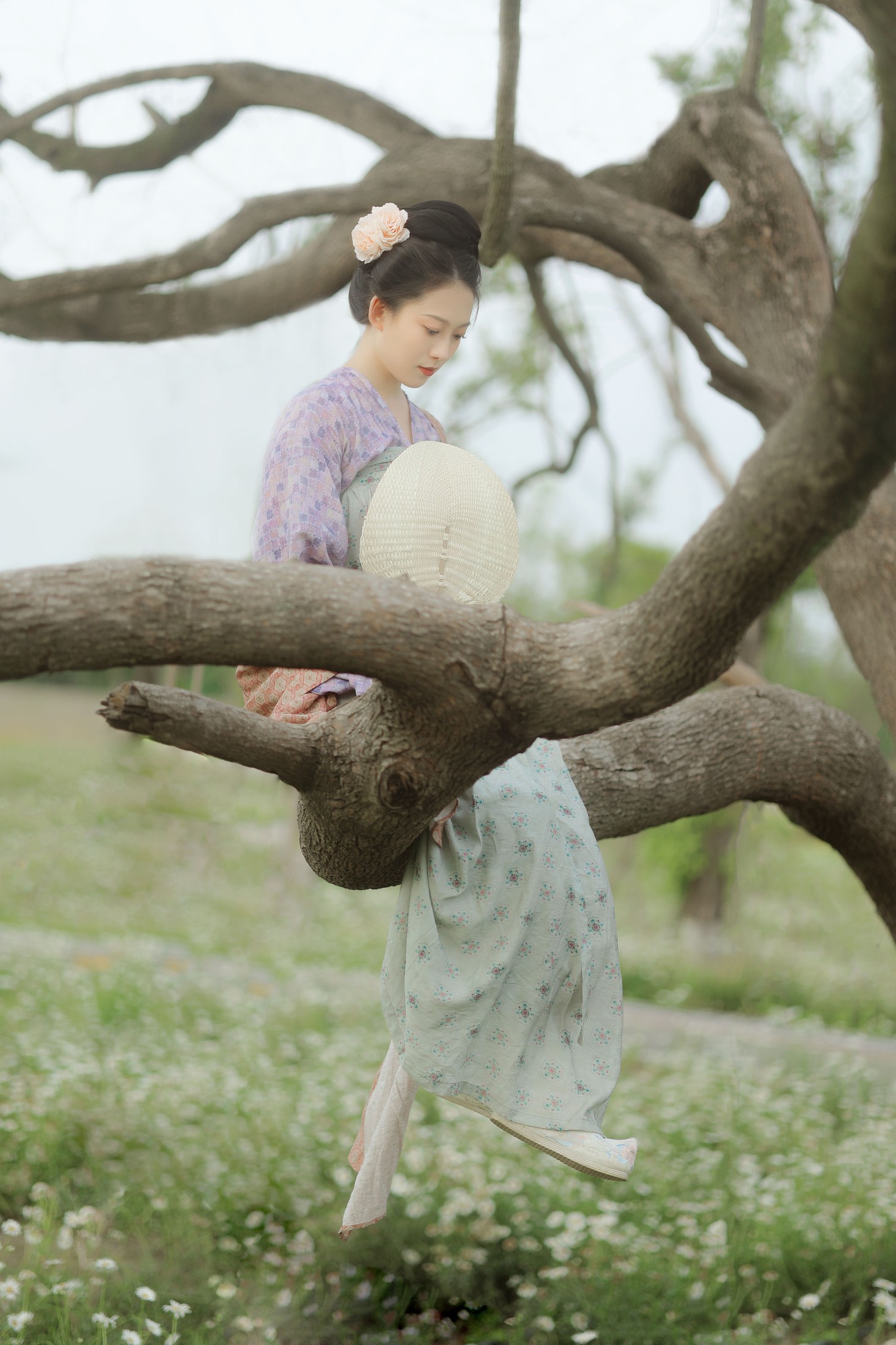 劉忄乂  – 《小雏菊》[25P]