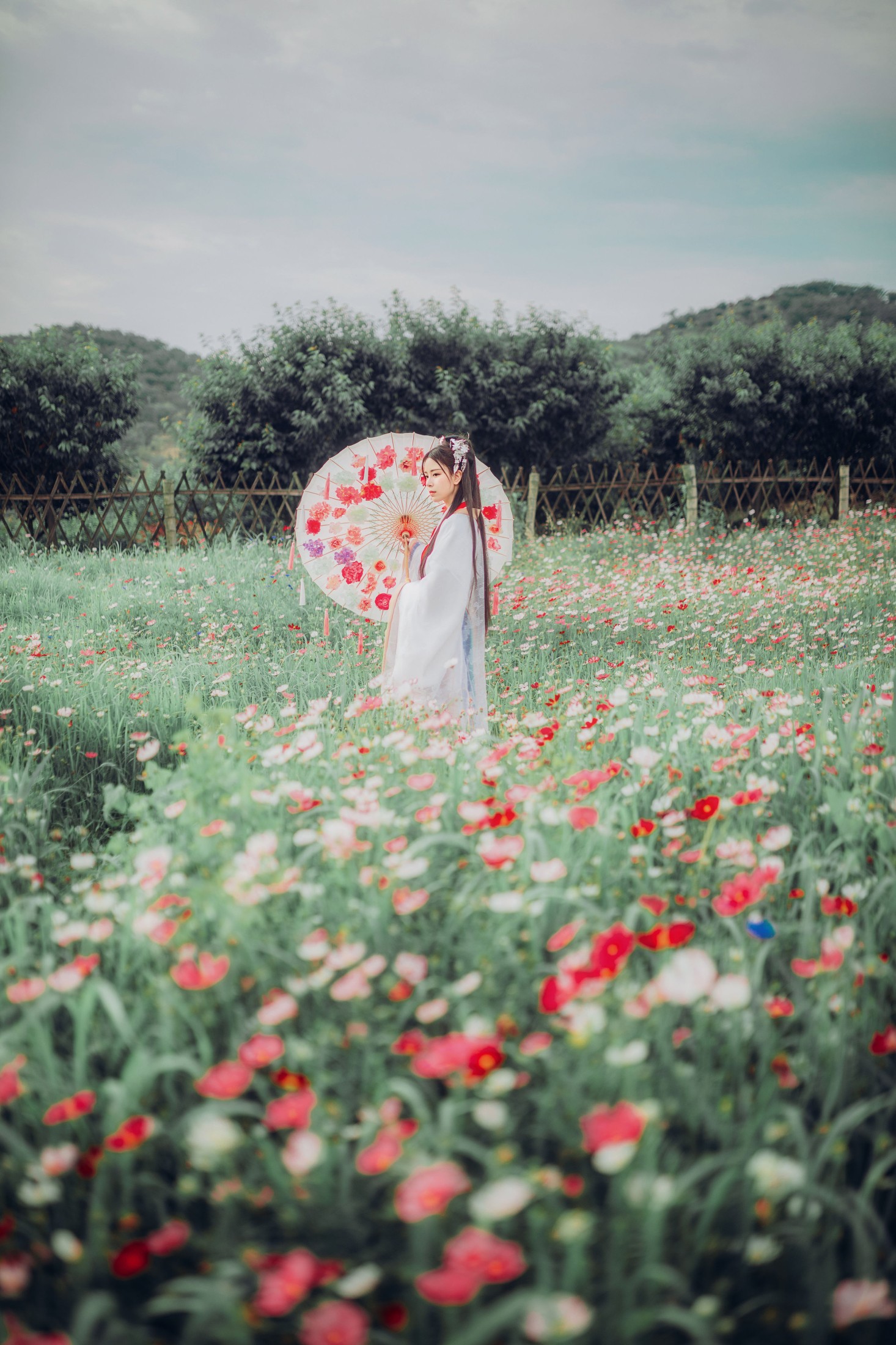 公子不坏 – 《花神泪》[20P]