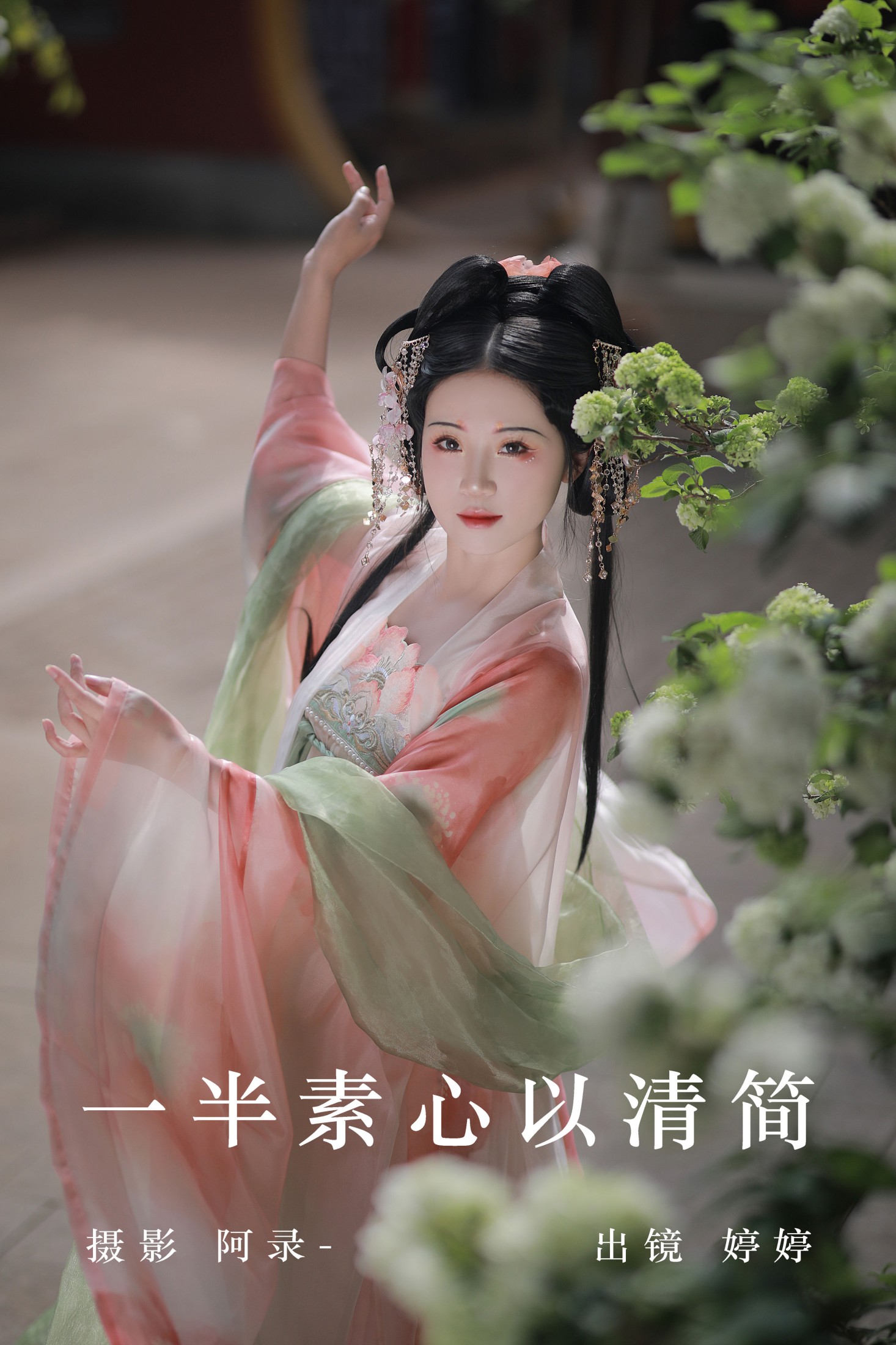一半素心以清简