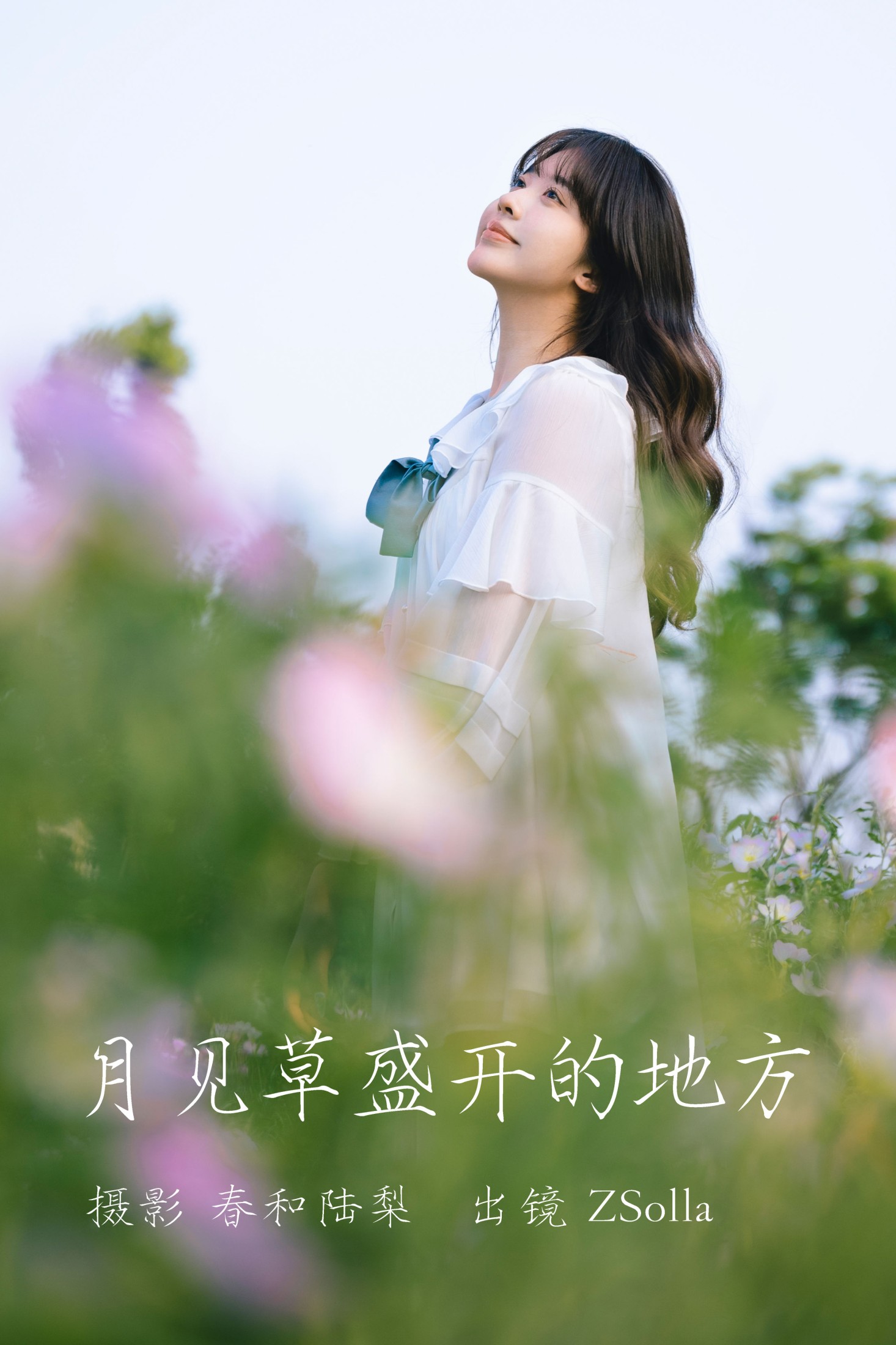 月见草盛开的地方