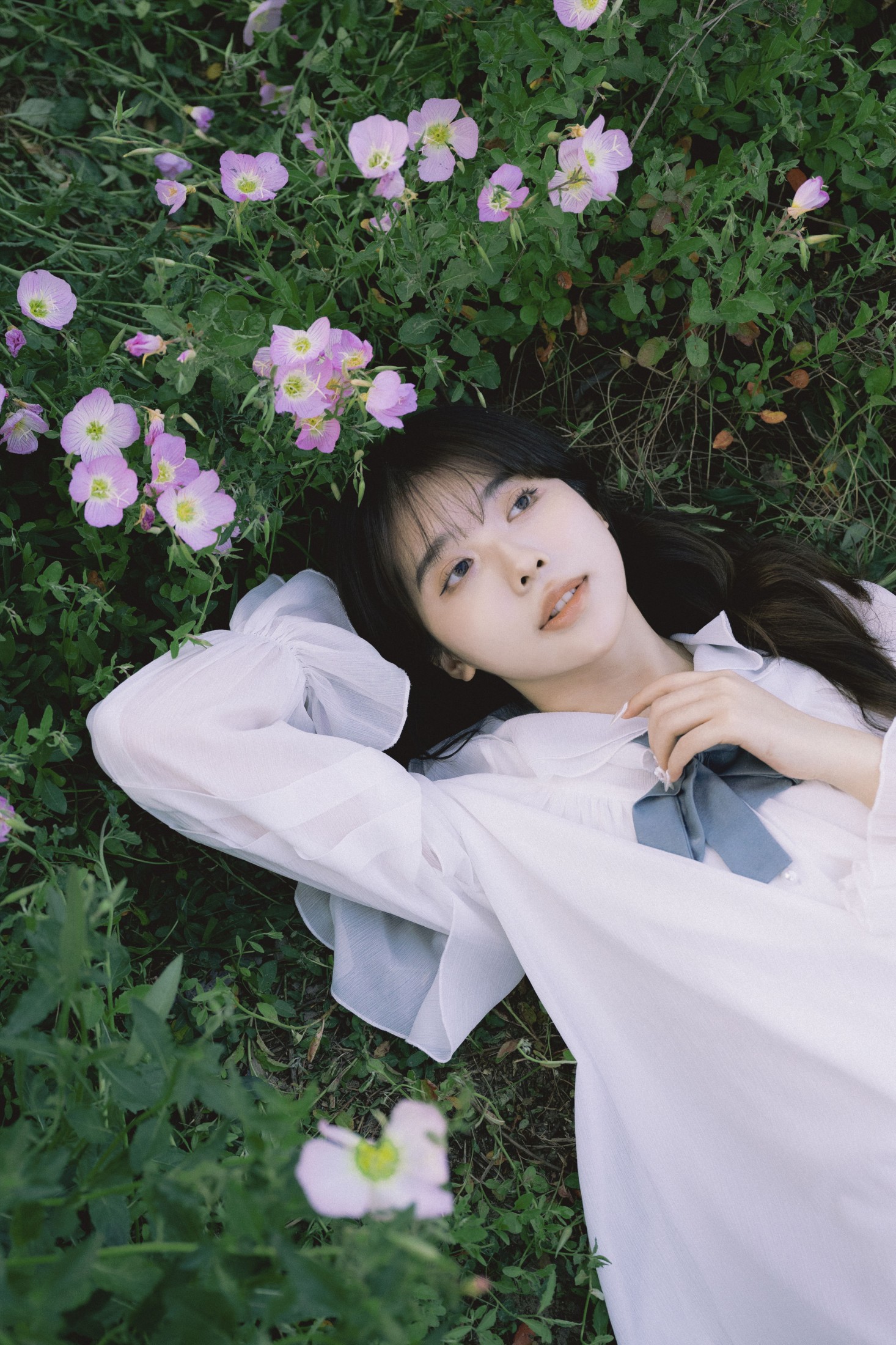 Z_Solla – 《月见草盛开的地方》[20P]
