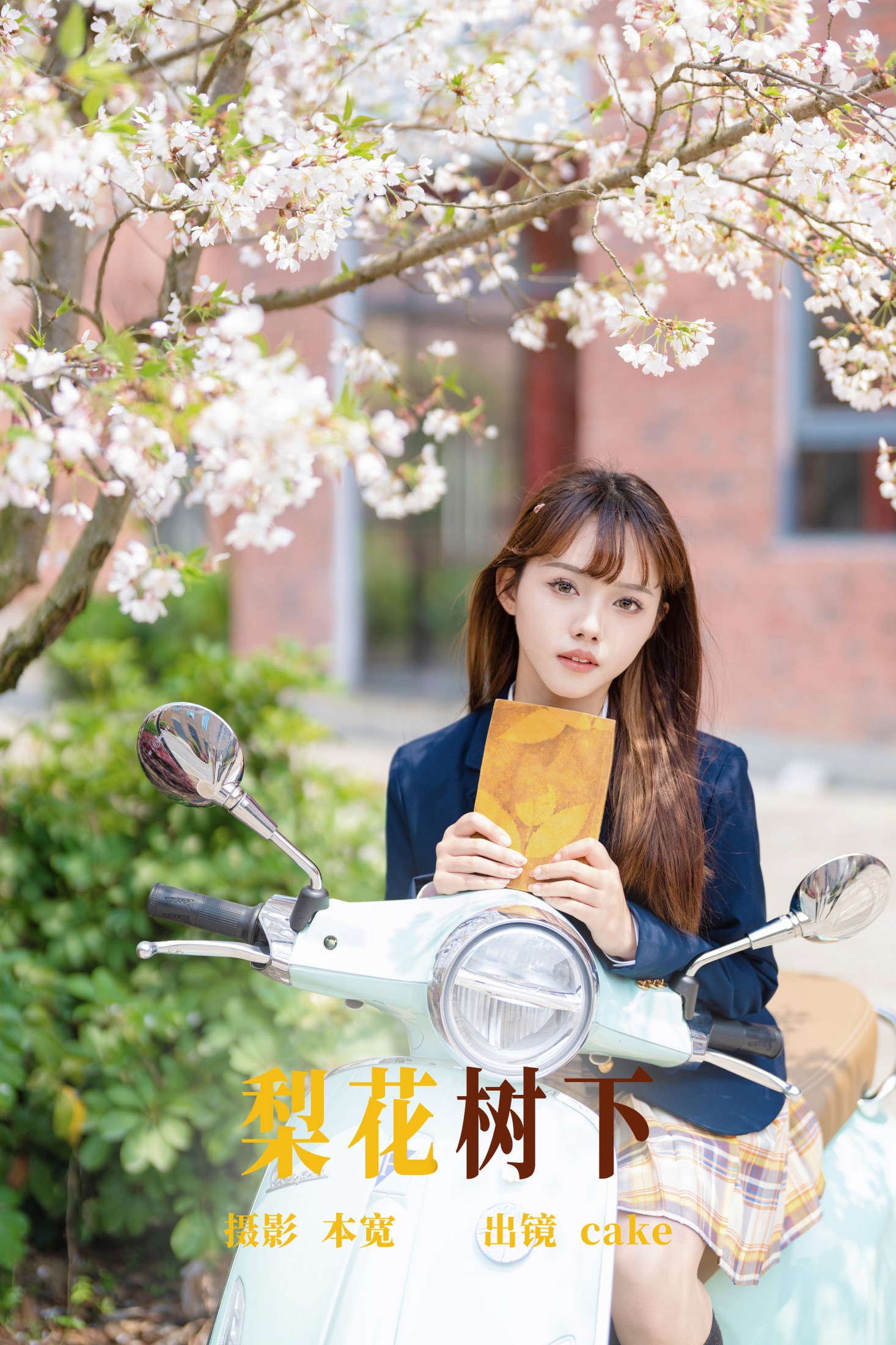 梨花树下