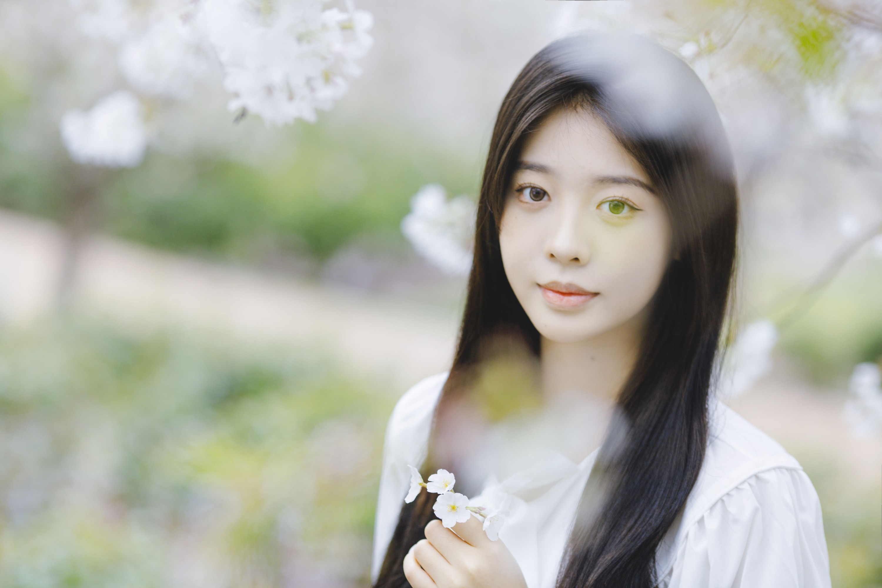 Z_Solla – 《樱花落下的瞬间》[20P]