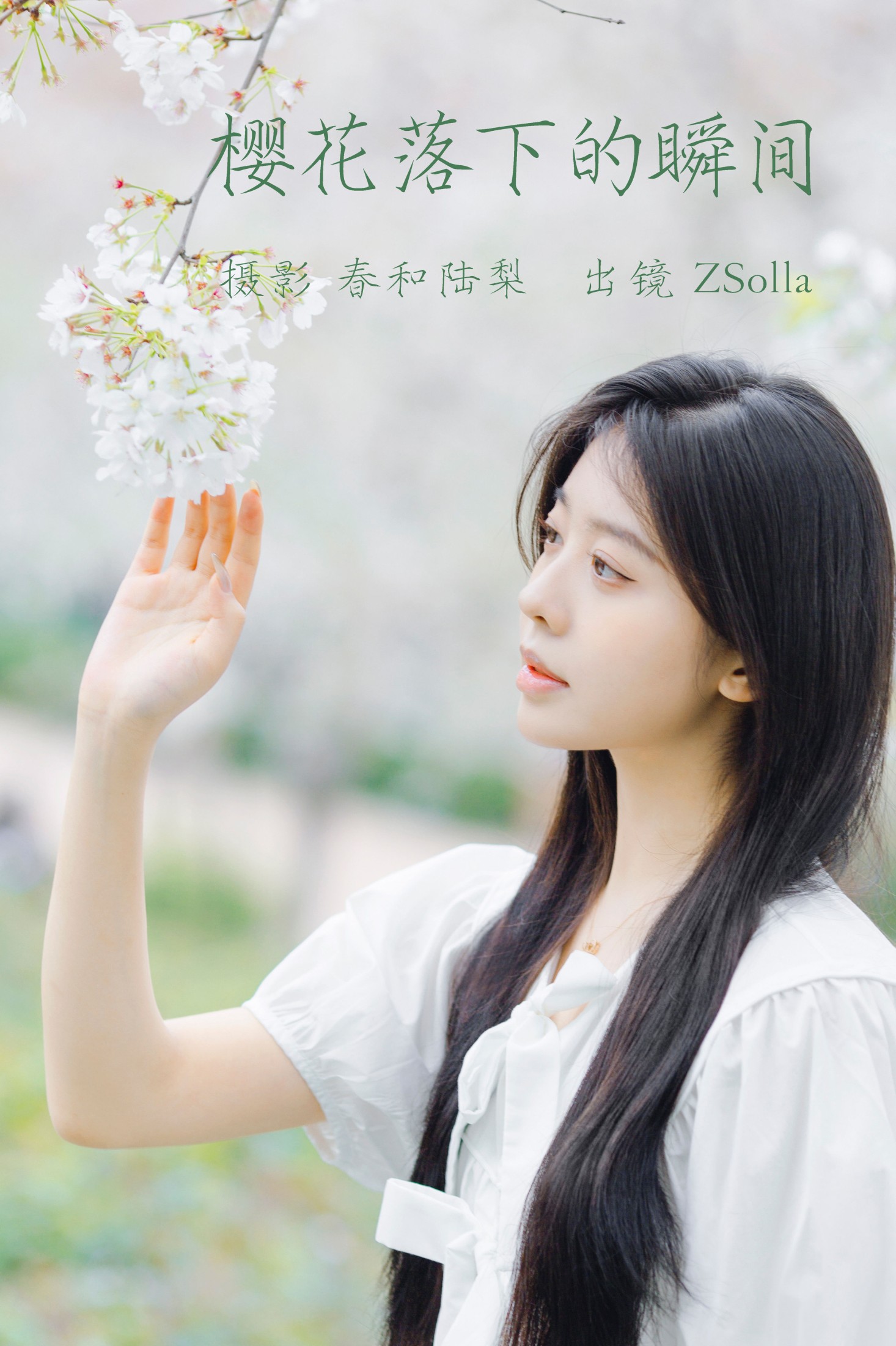 樱花落下的瞬间