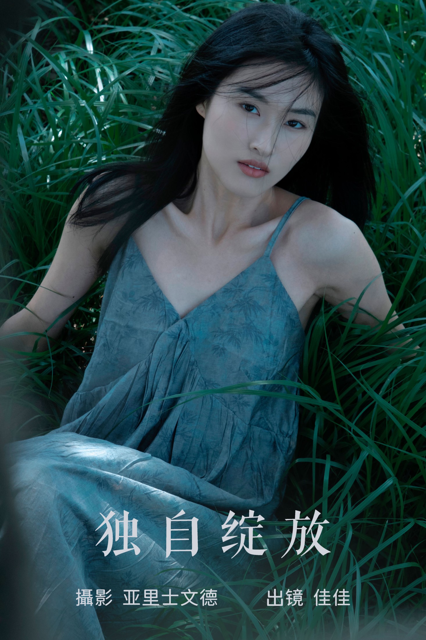 独自绽放