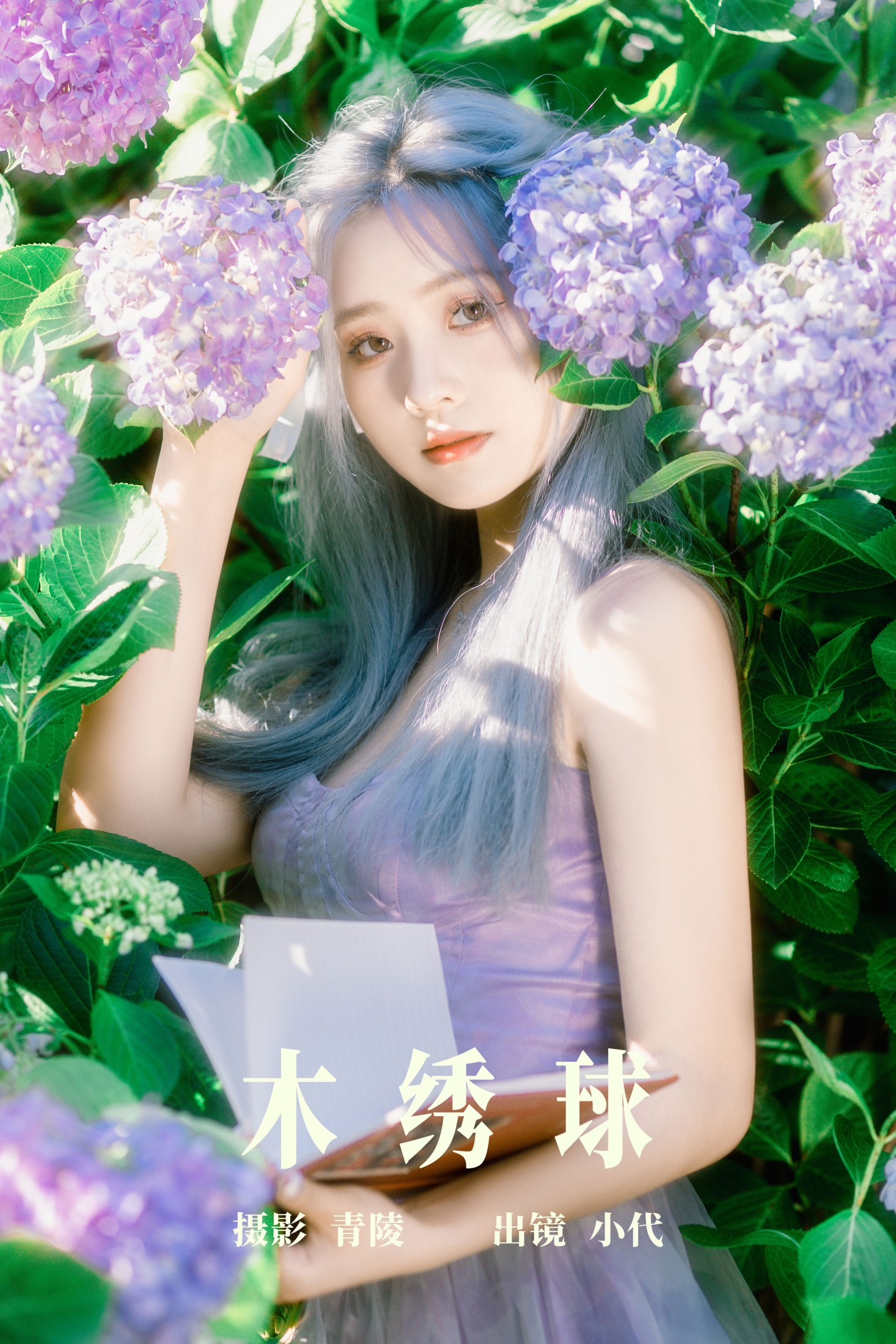 木绣球