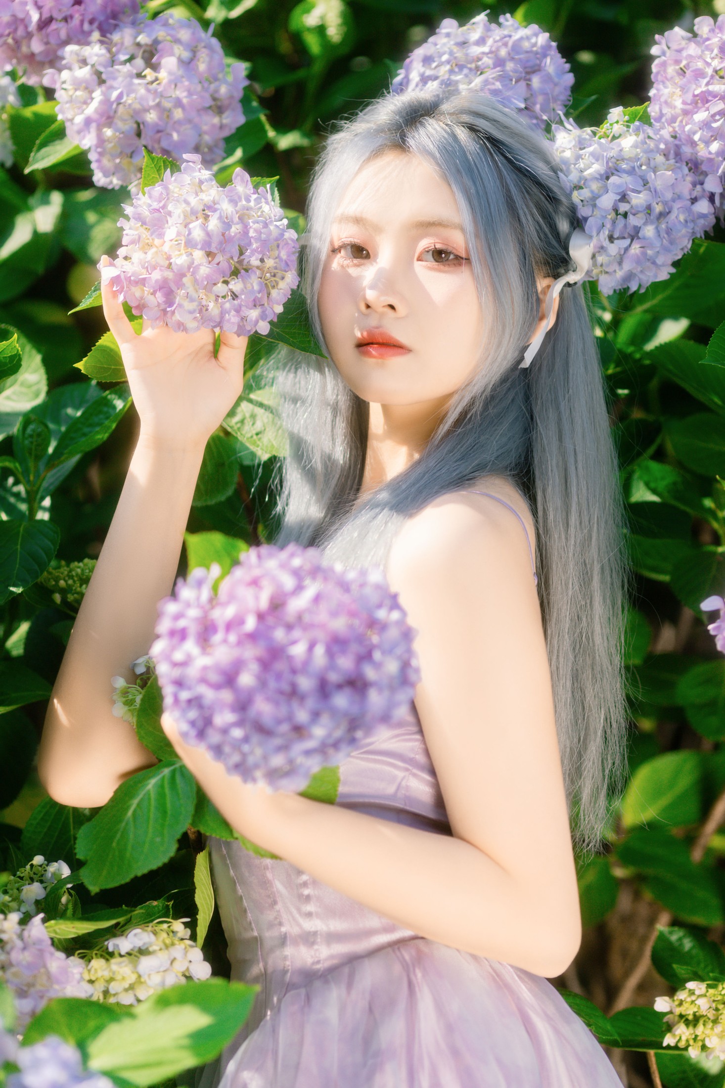 羔丽代 – 《木绣球》[31P]