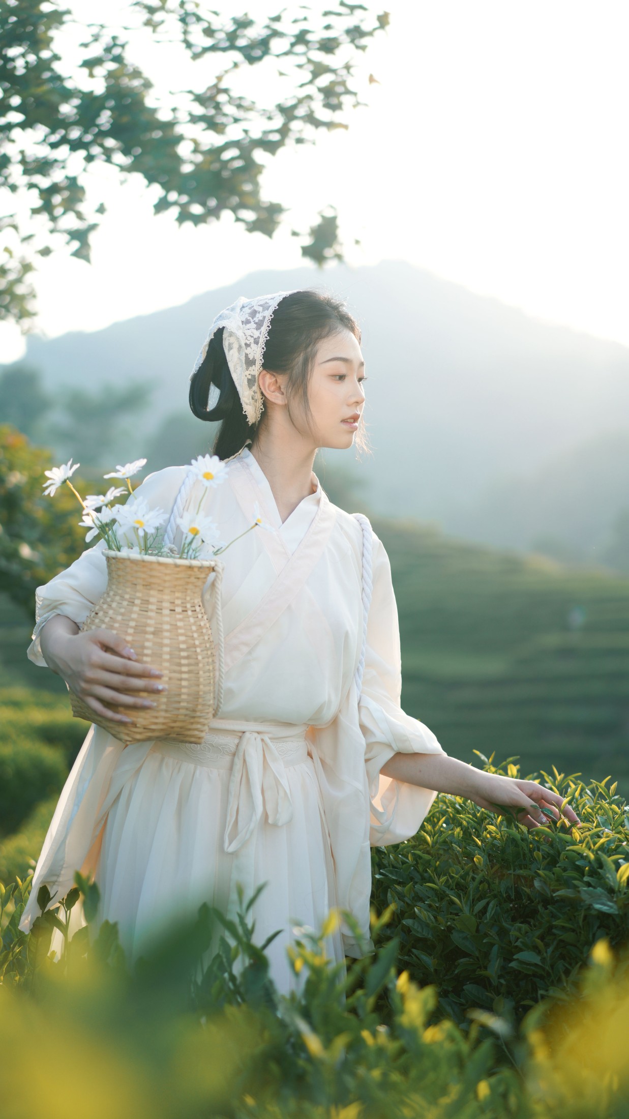 小羊墩墩 – 《茶山》[32P]