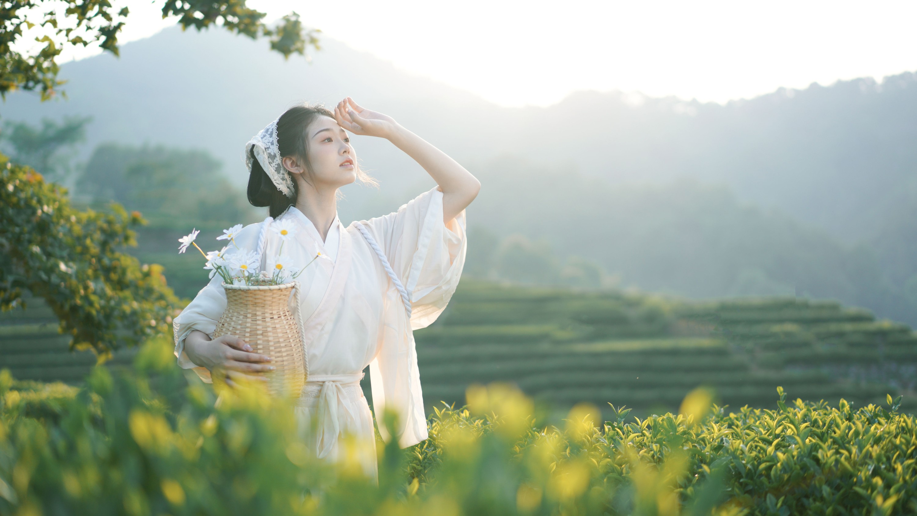 小羊墩墩 – 《茶山》[32P]