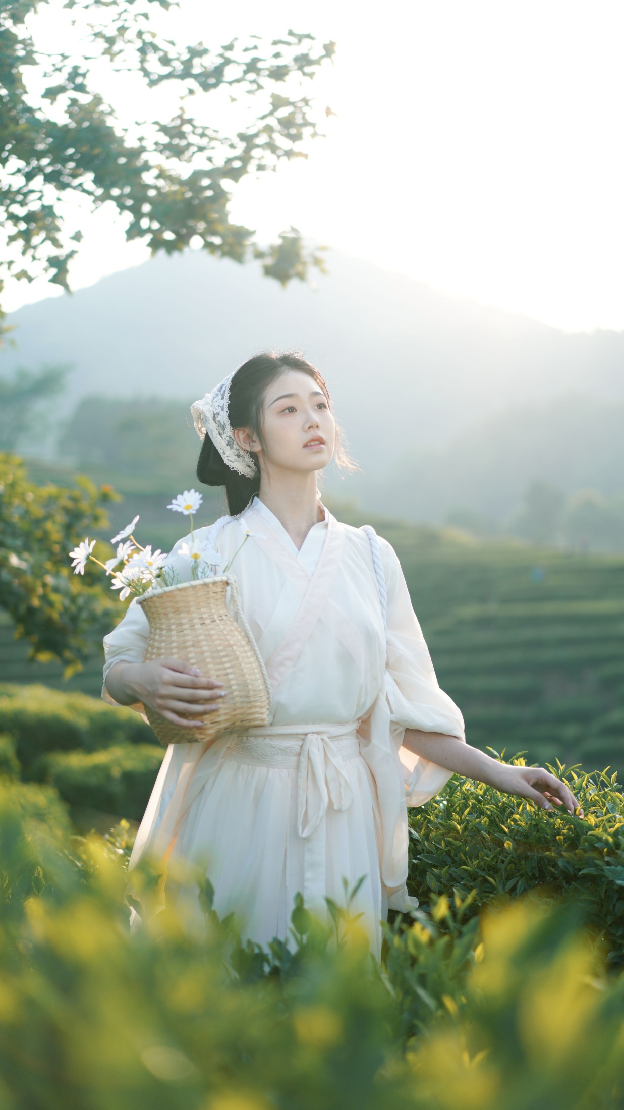 小羊墩墩 – 《茶山》[32P]