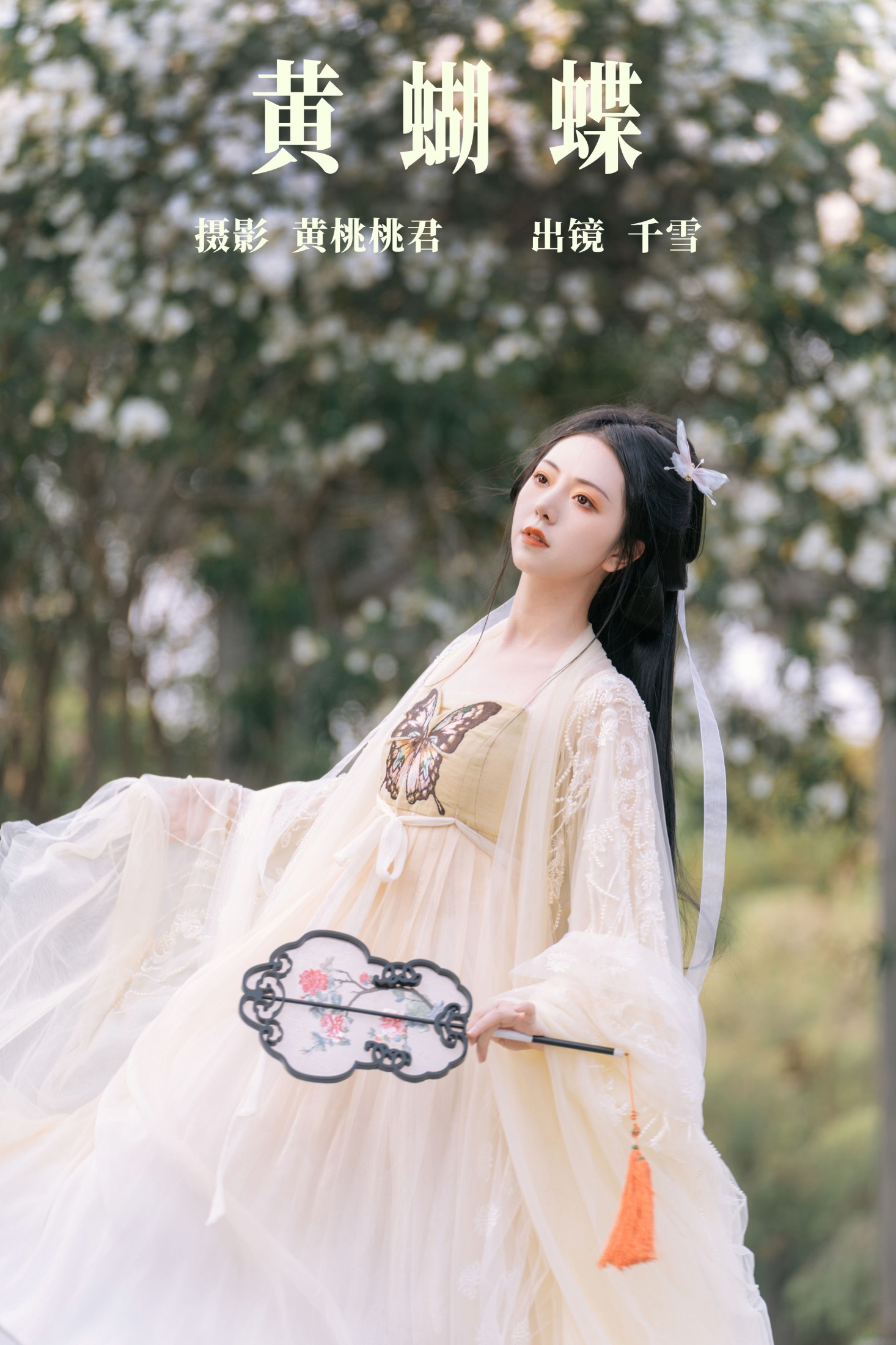 黄蝴蝶