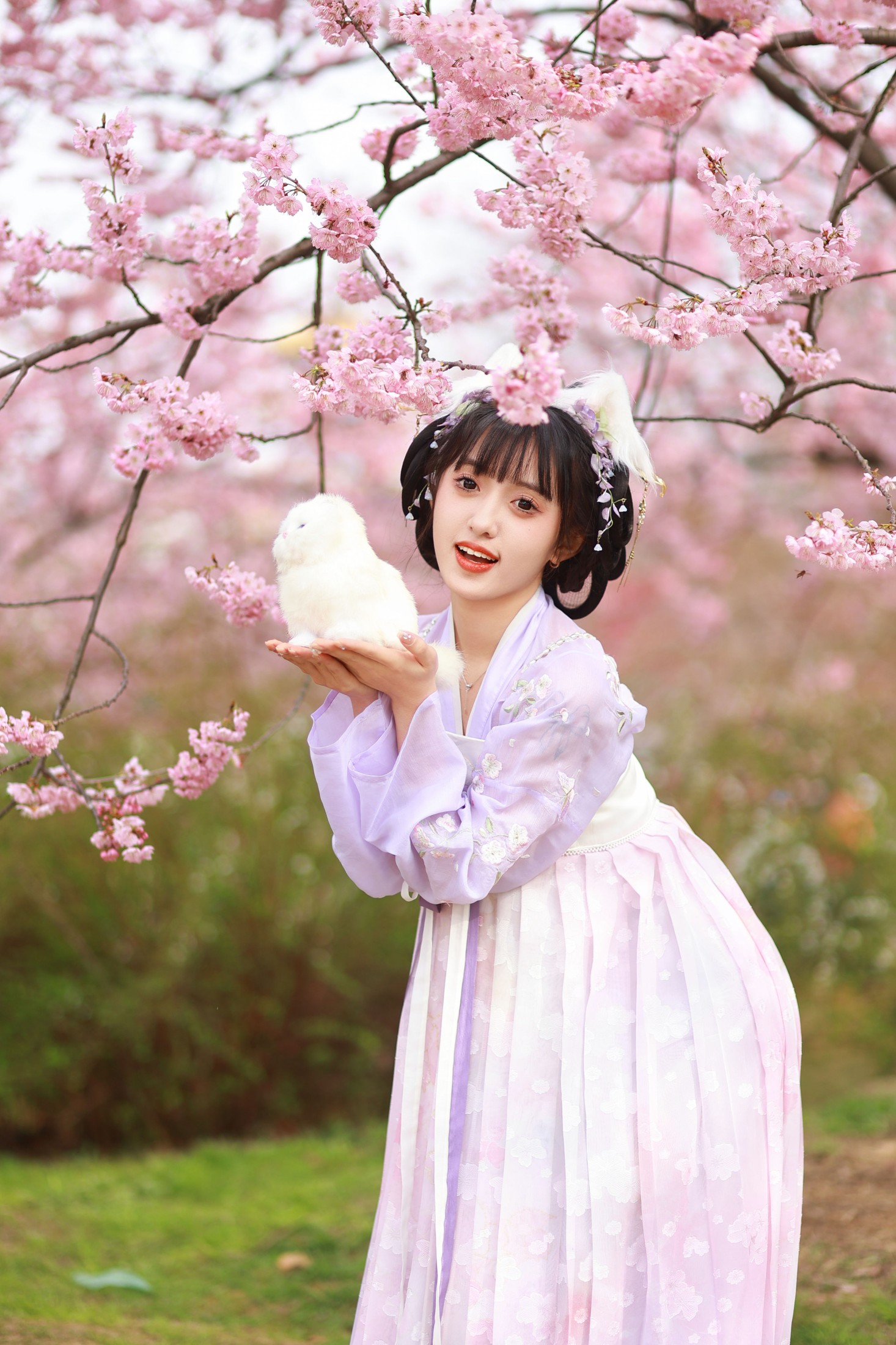 锘锘吃糯米 – 《猫耳少女》[25P]
