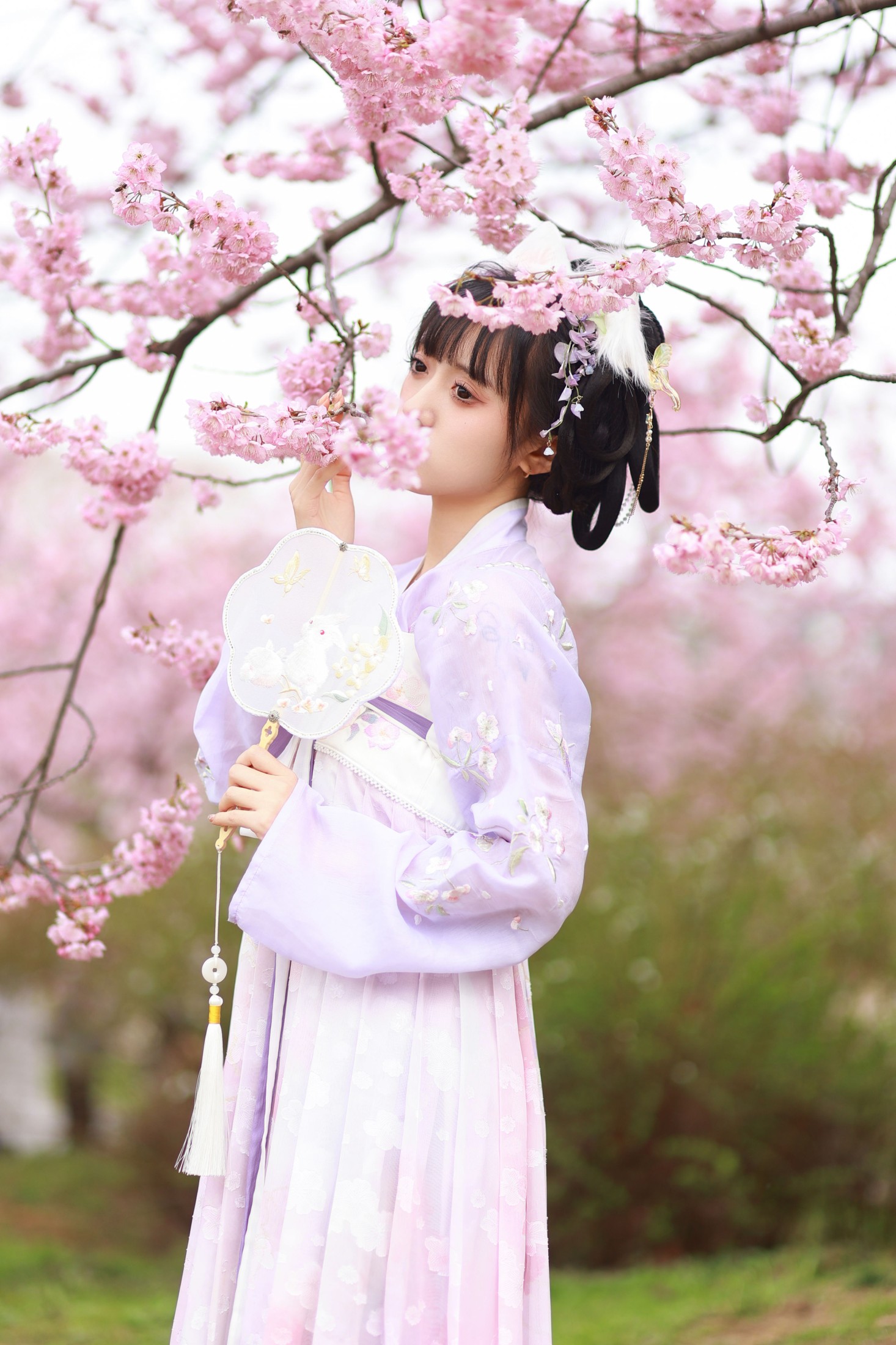 锘锘吃糯米 – 《猫耳少女》[25P]