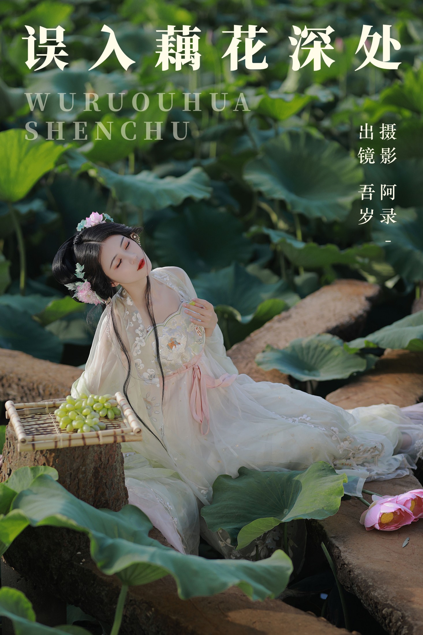 误入藕花深处