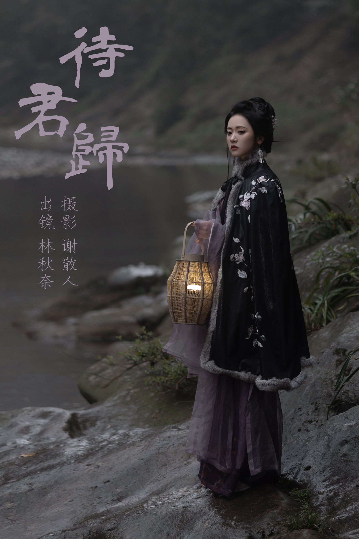 待君归