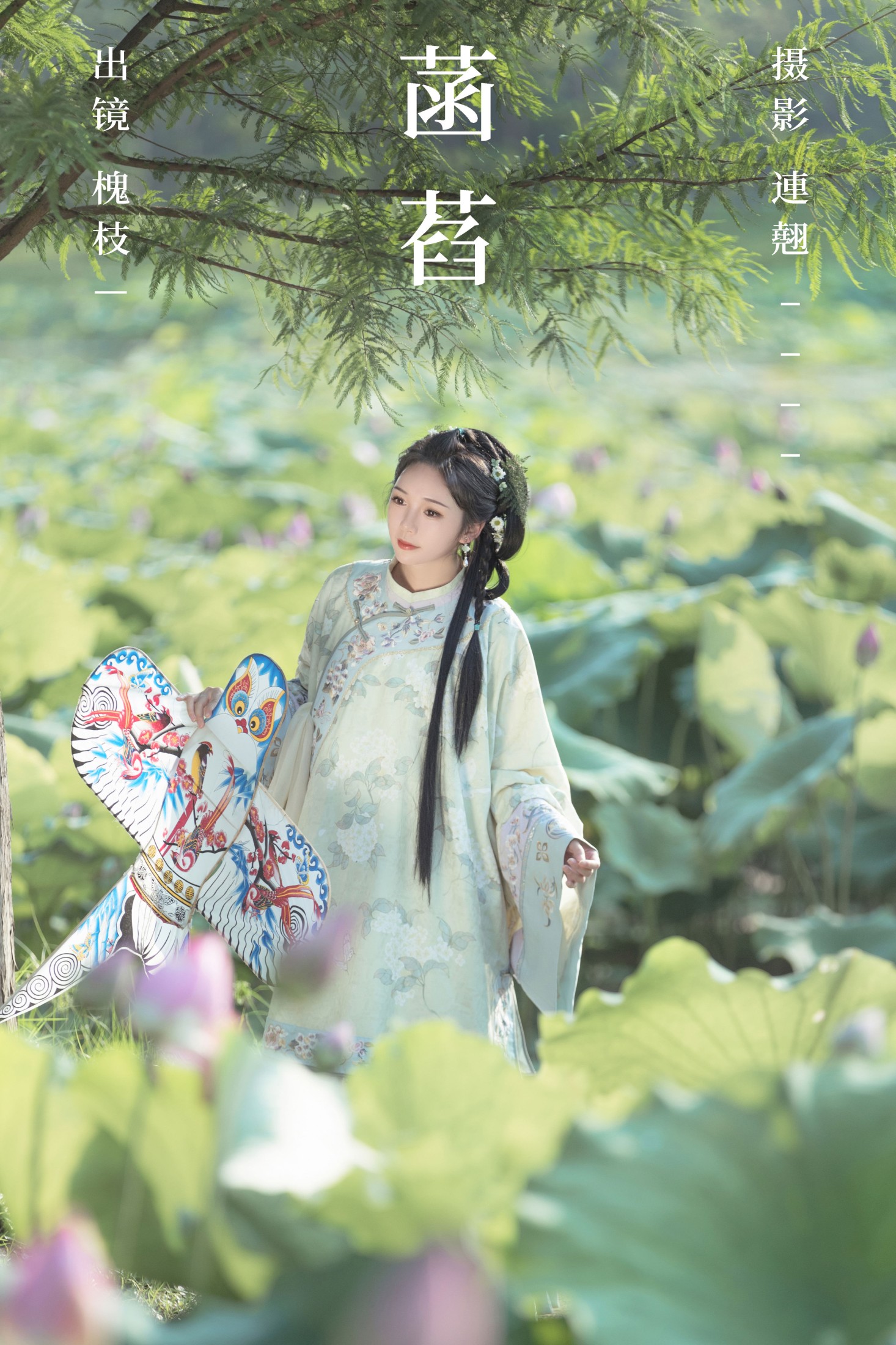 菡萏