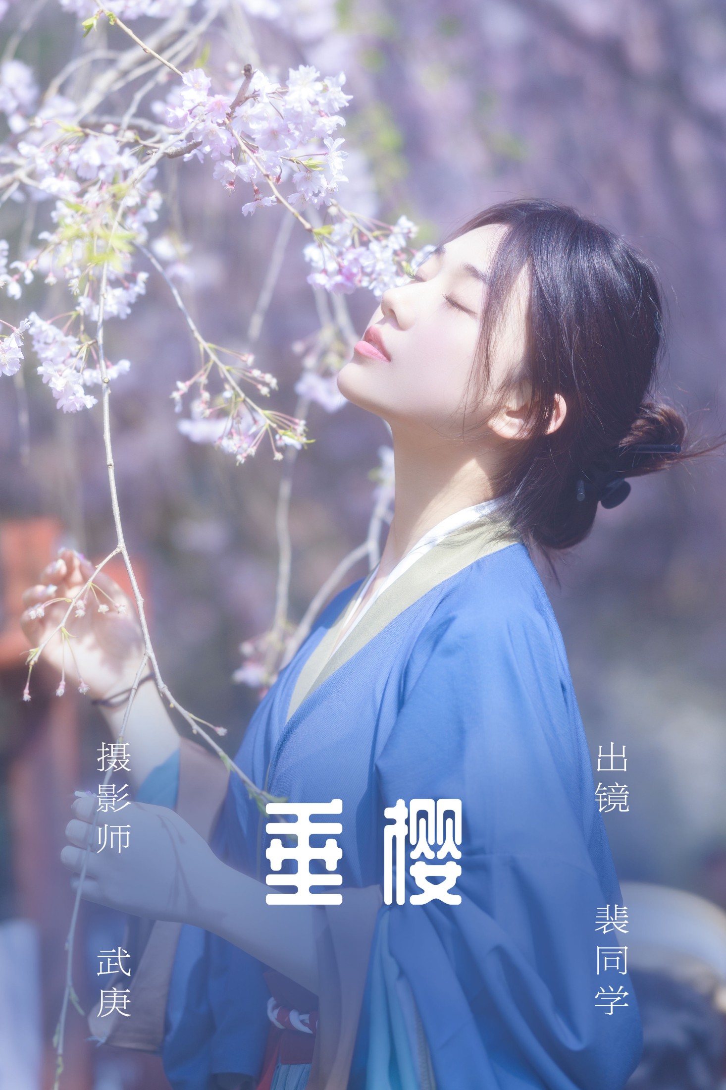 垂樱