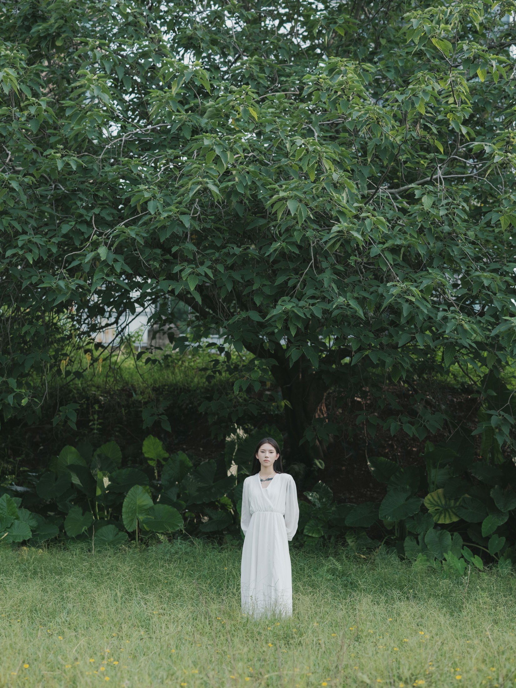 小鱼 – 《孤寂难留》[47P]