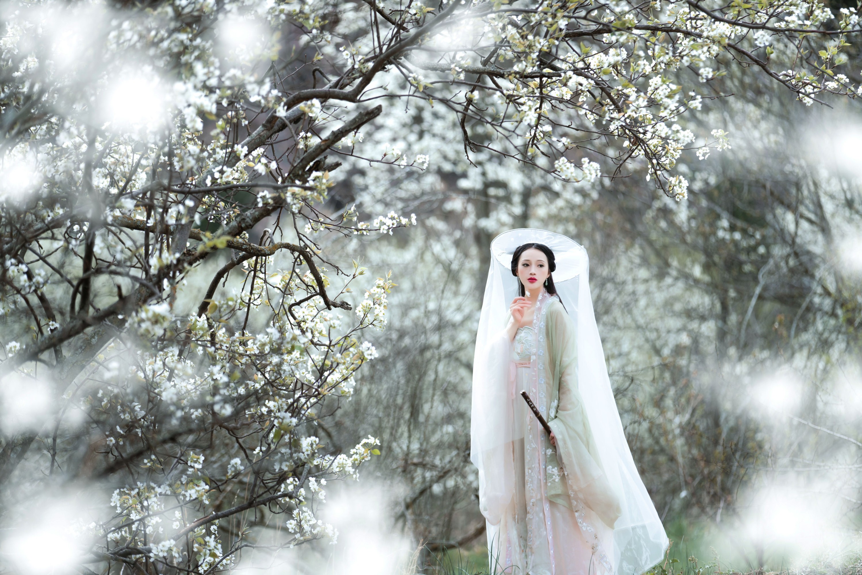 薇薇 – 《梨花意》[38P]