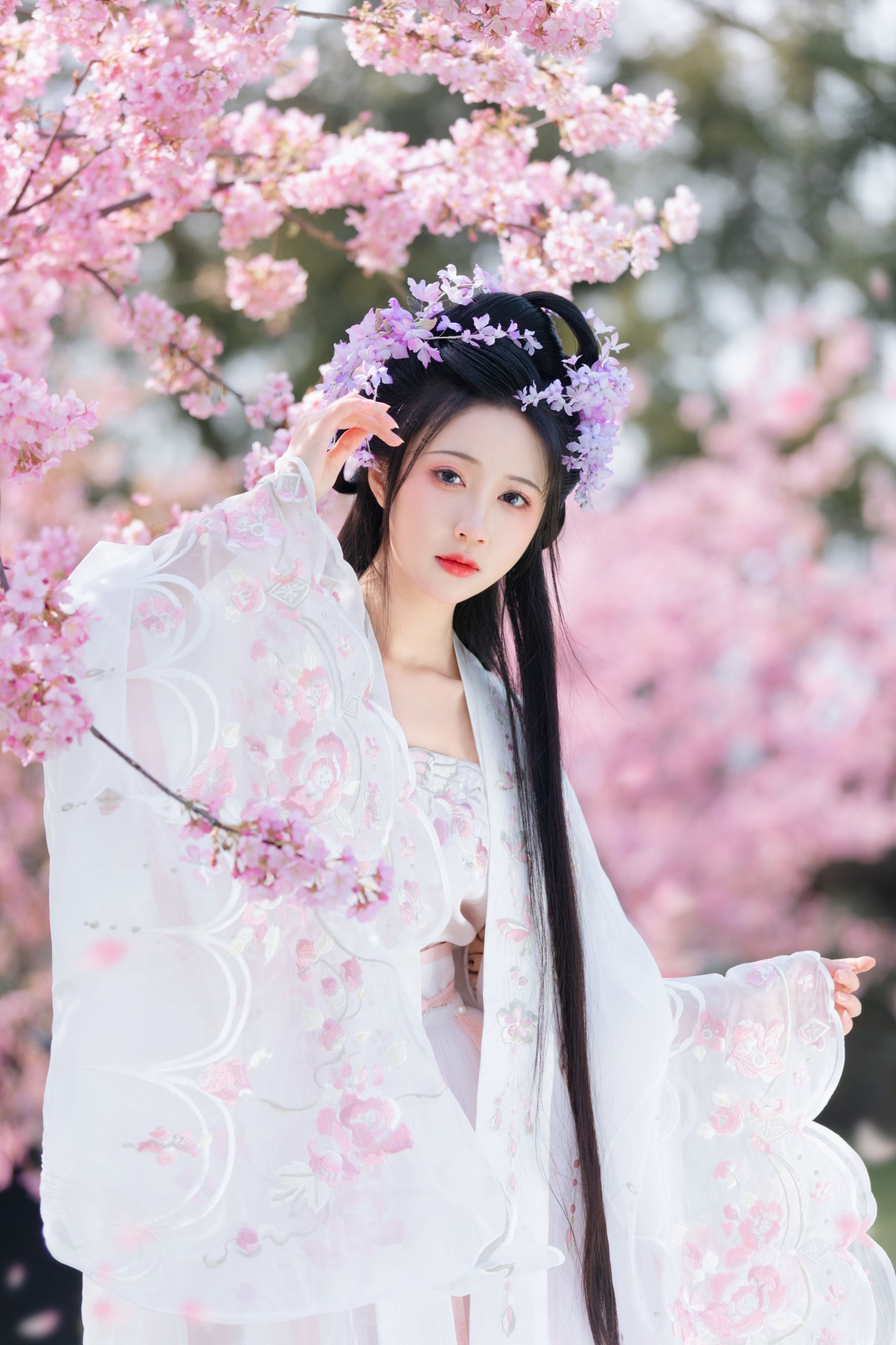 绮罗生的小苏苏 – 《樱花仙子》[22P]