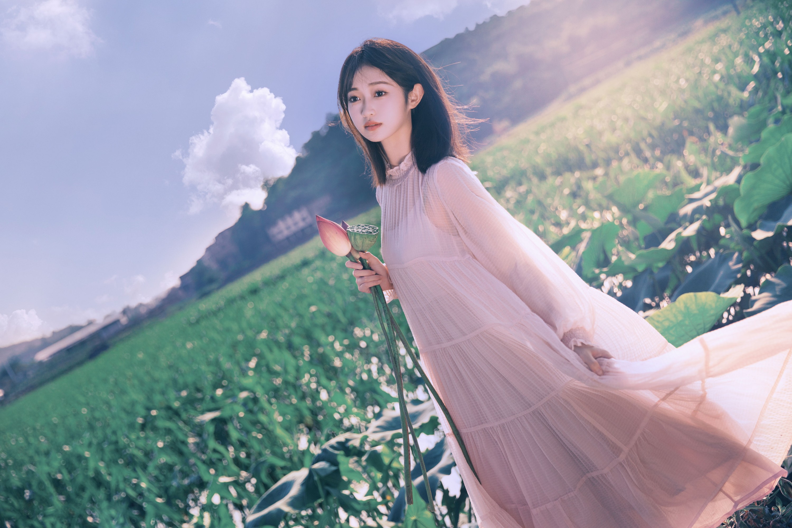 悲伤小河马 – 《夏日荷花》[31P]