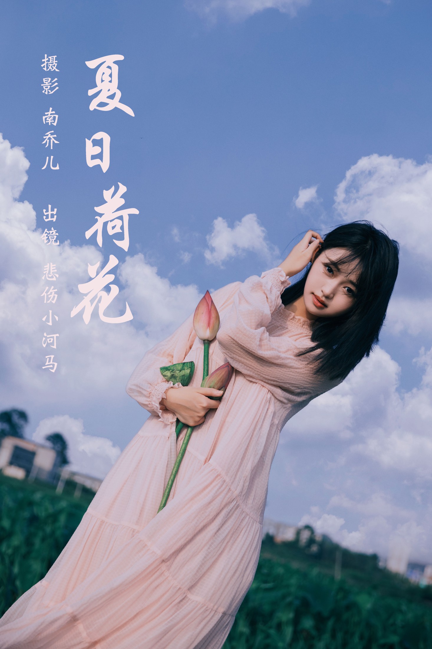 夏日荷花