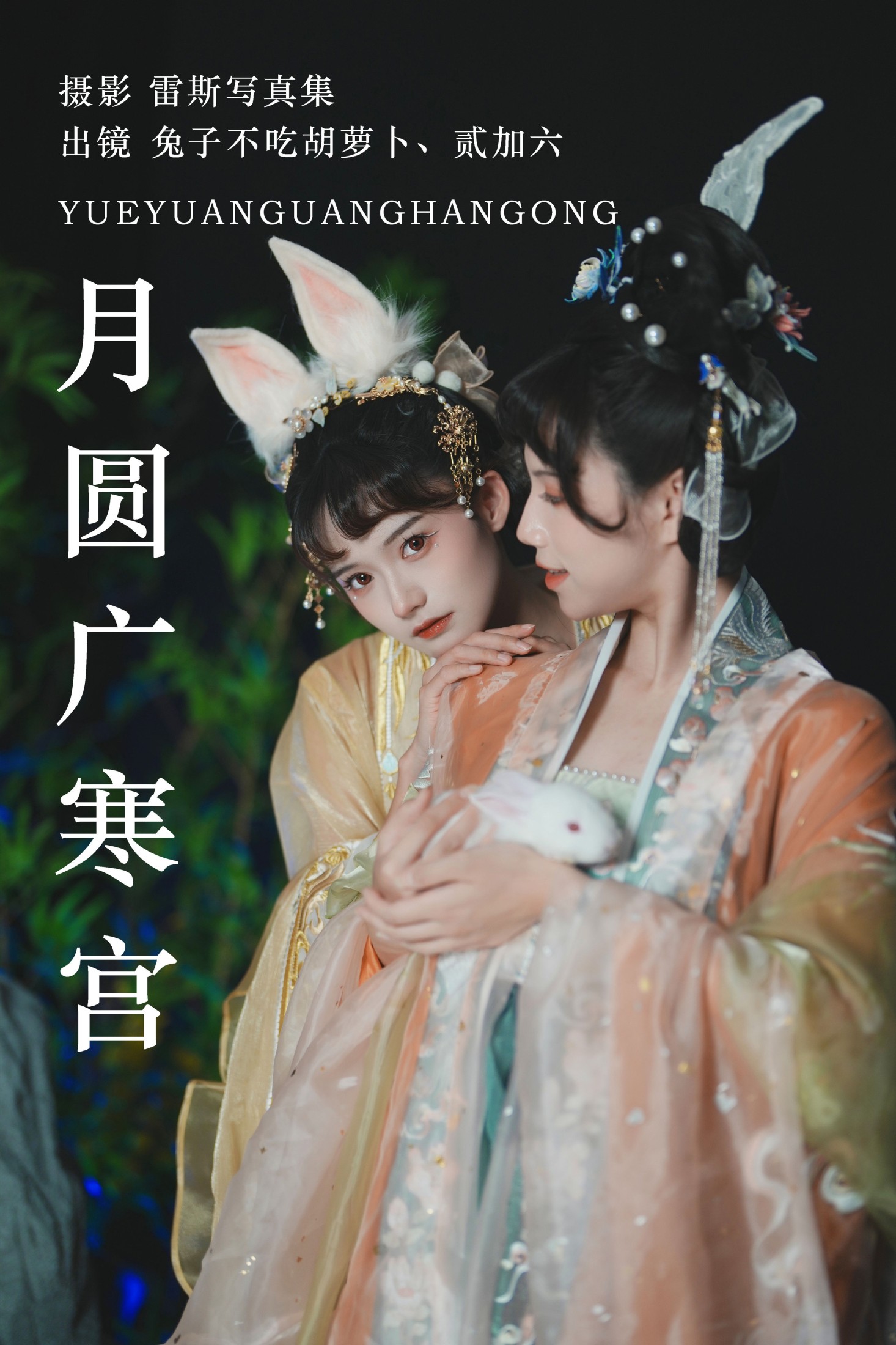 月圆广寒宫