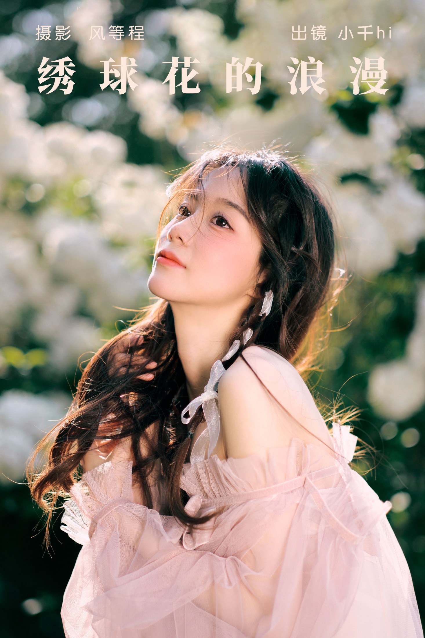 绣球花的浪漫