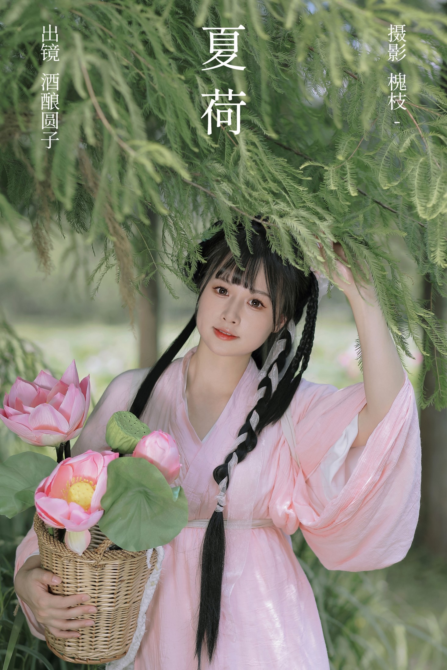夏荷