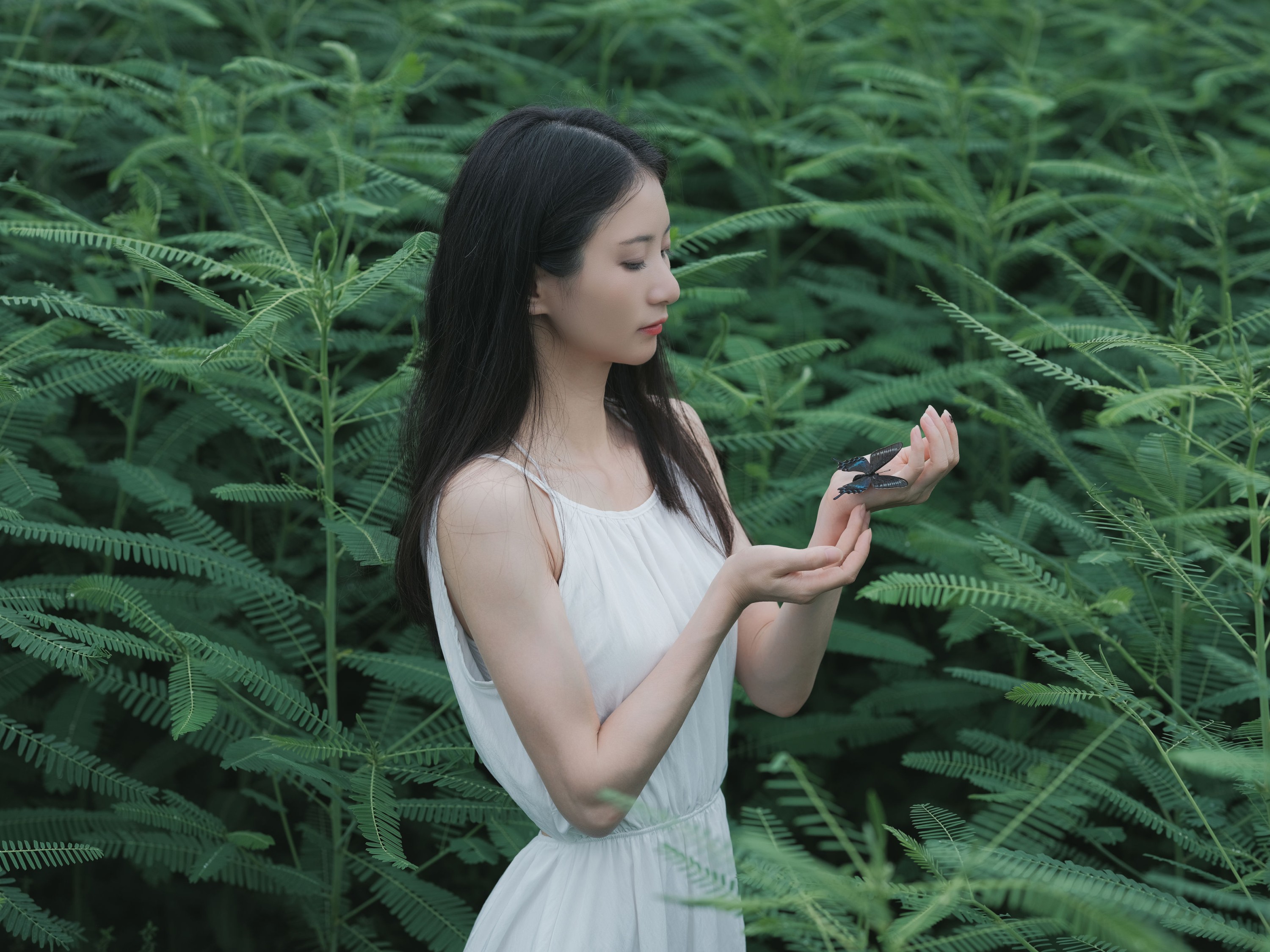 小昭 – 《花床少女》[40P]