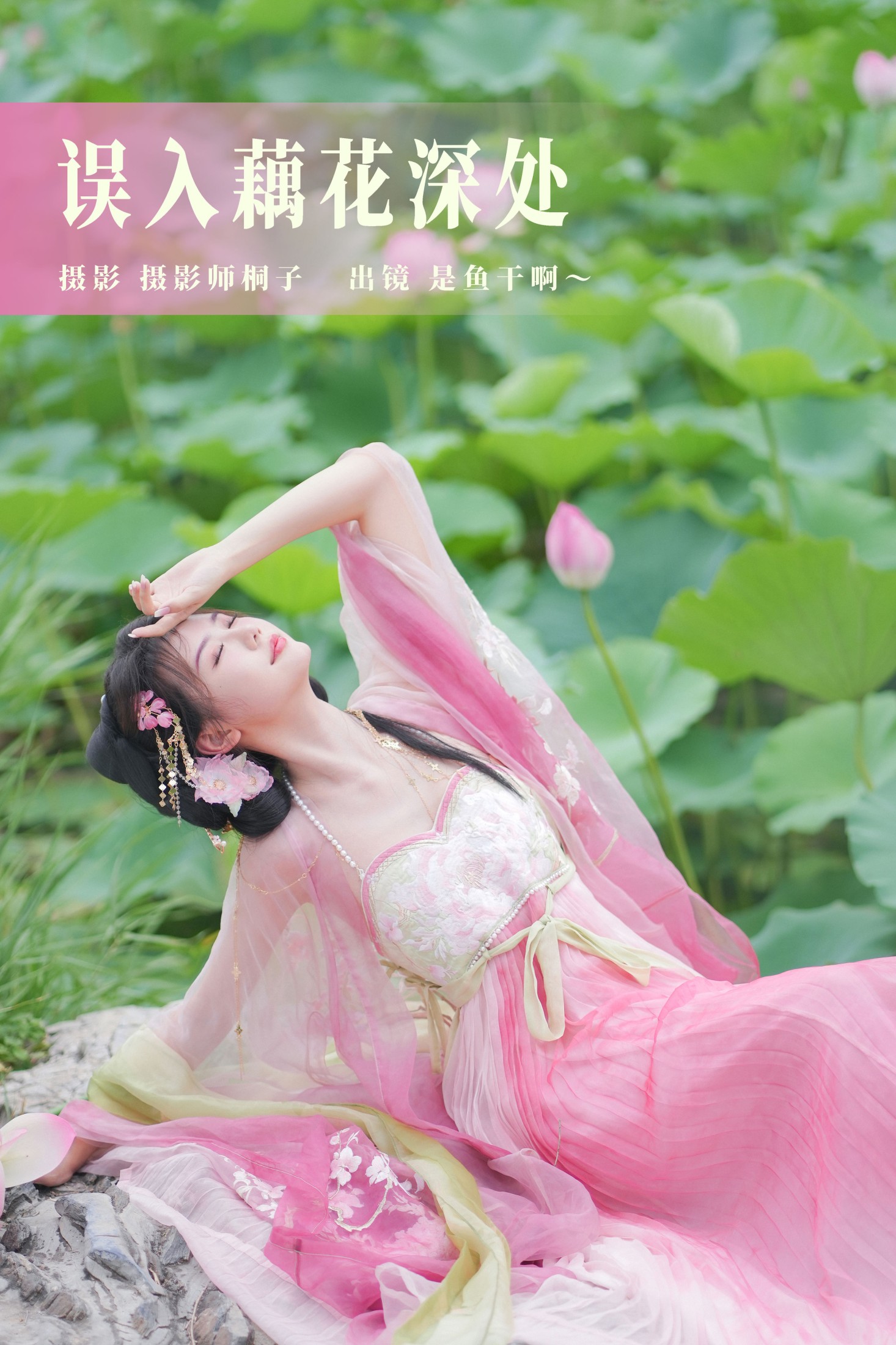 误入藕花深处