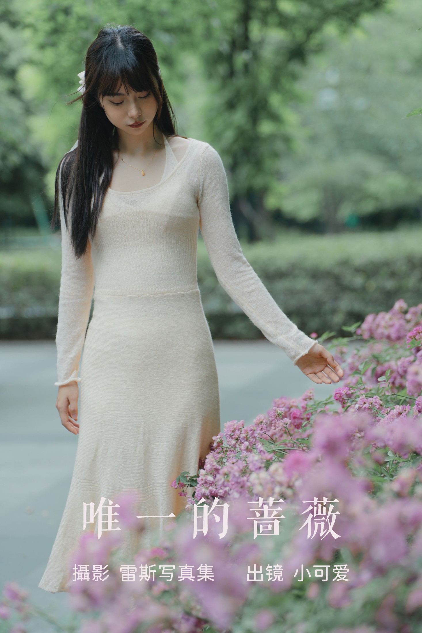 唯一的蔷薇
