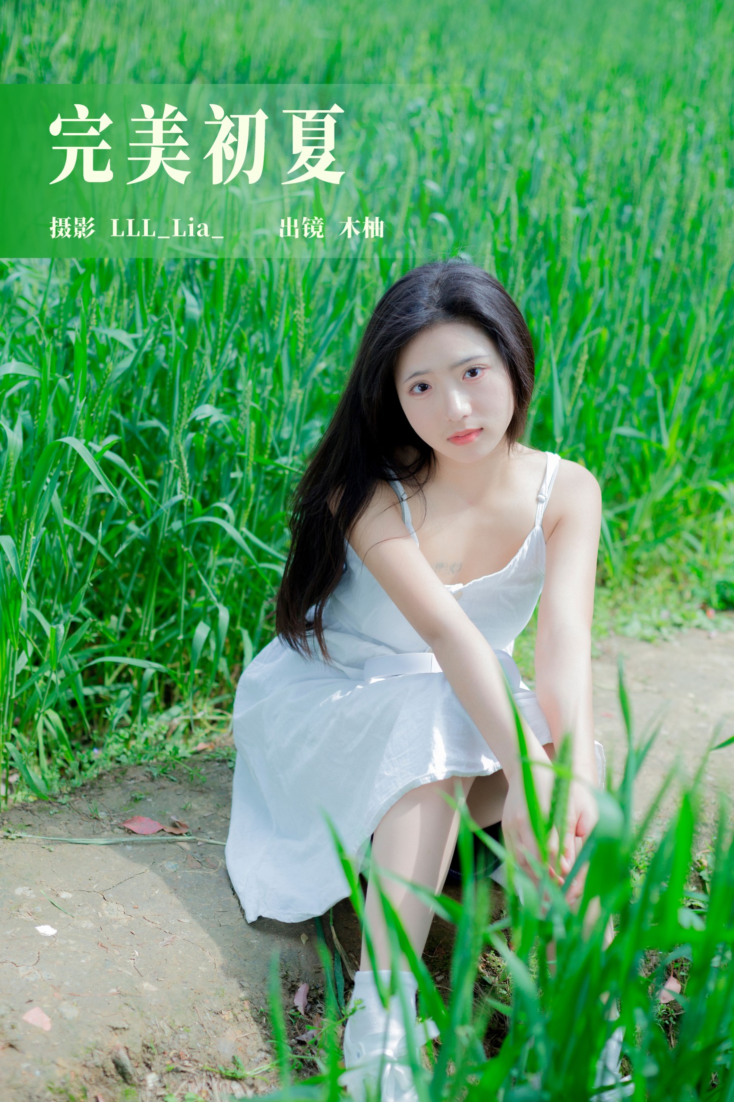 完美初夏
