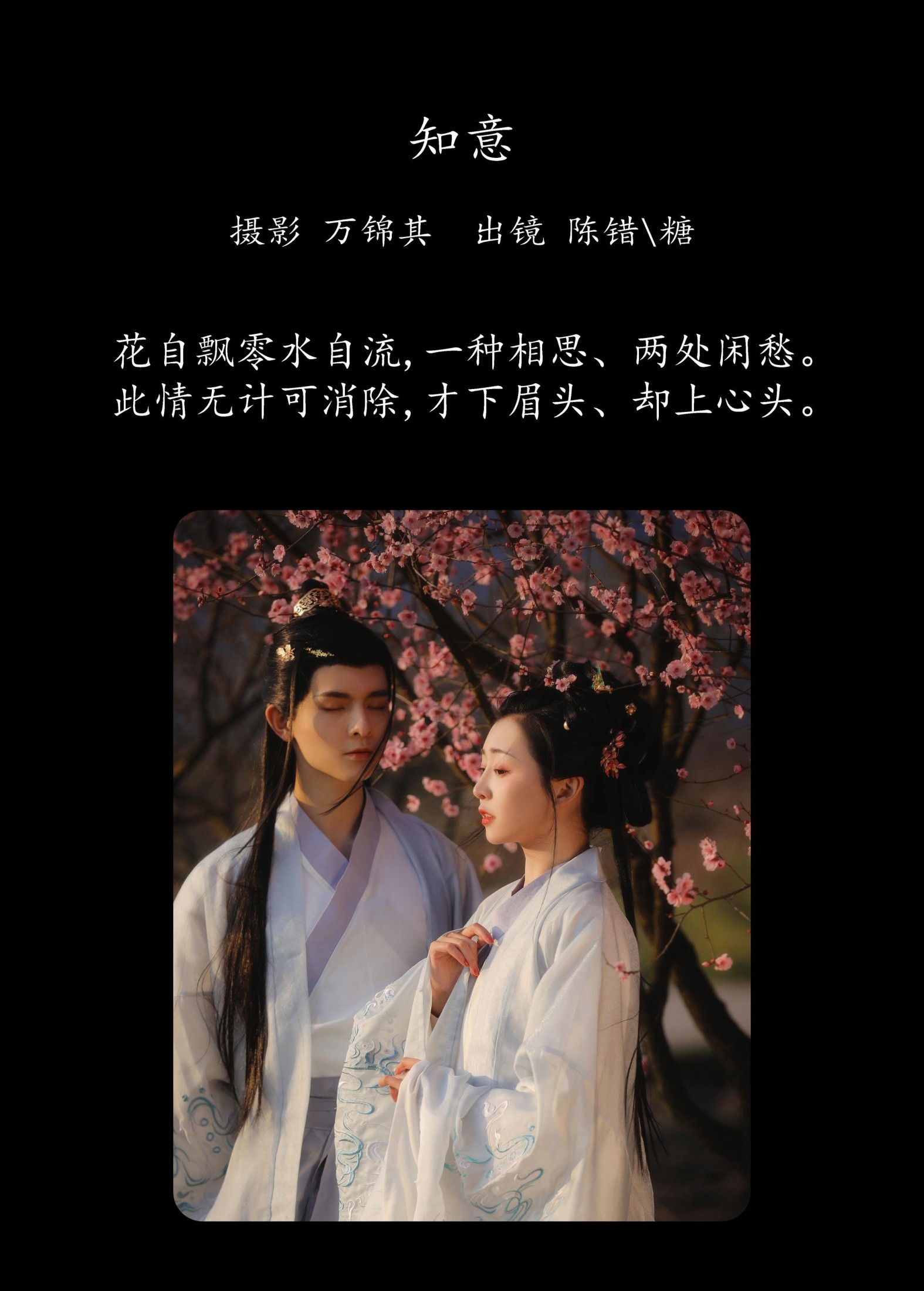 你的糖分 陈错 – 《知意》[20P]