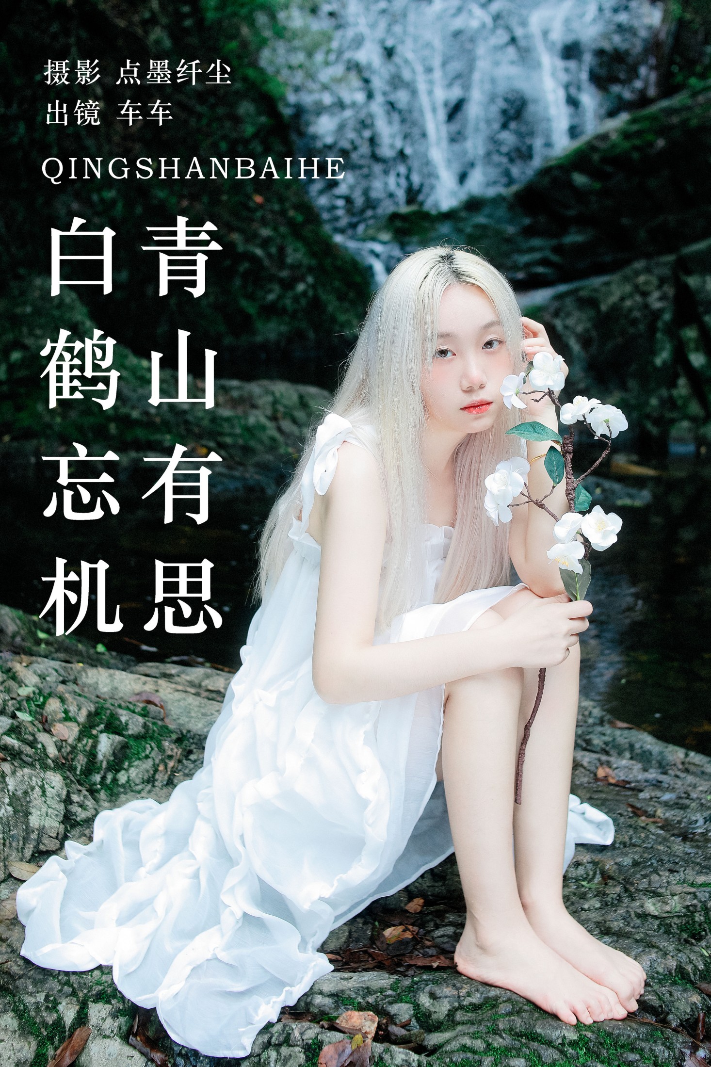 青山有思 白鹤忘机