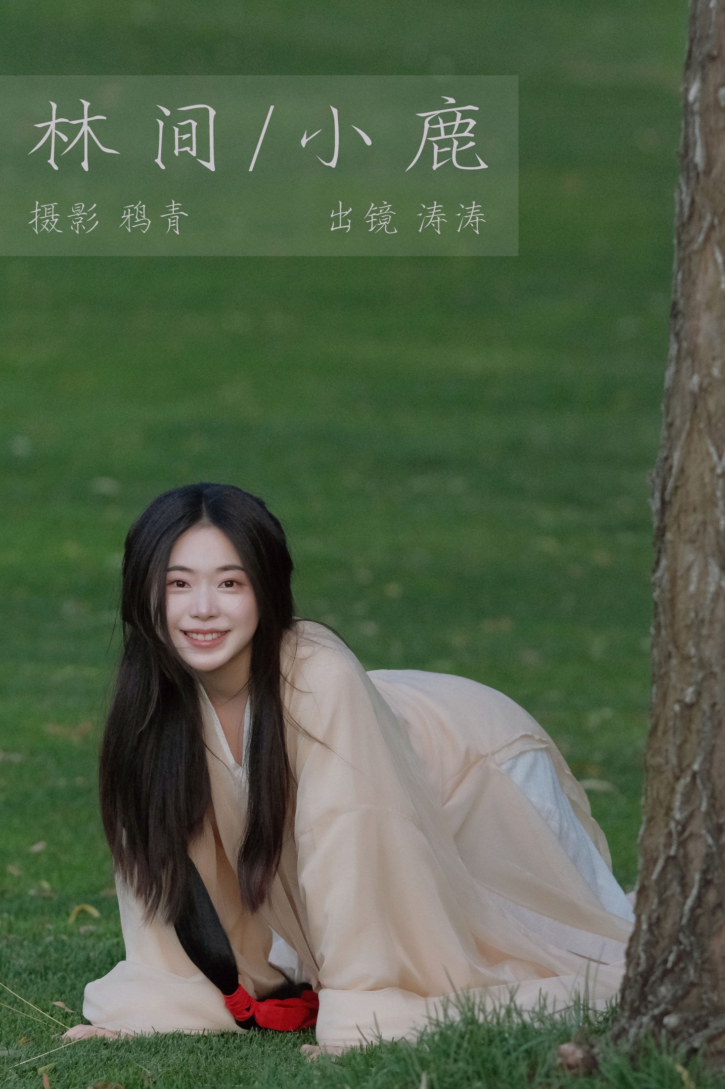 林间小鹿