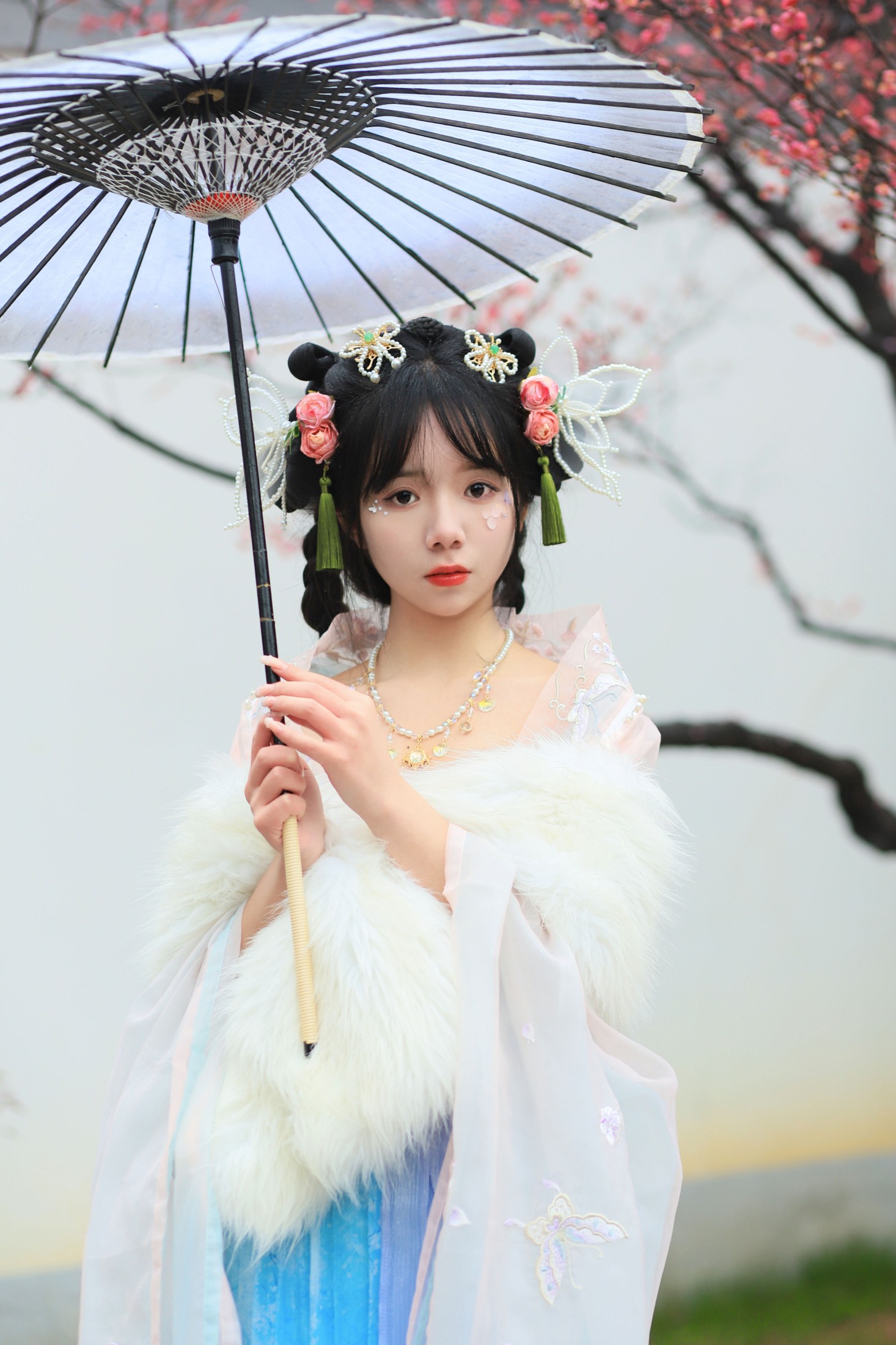 小杨 – 《落梅》[25P]
