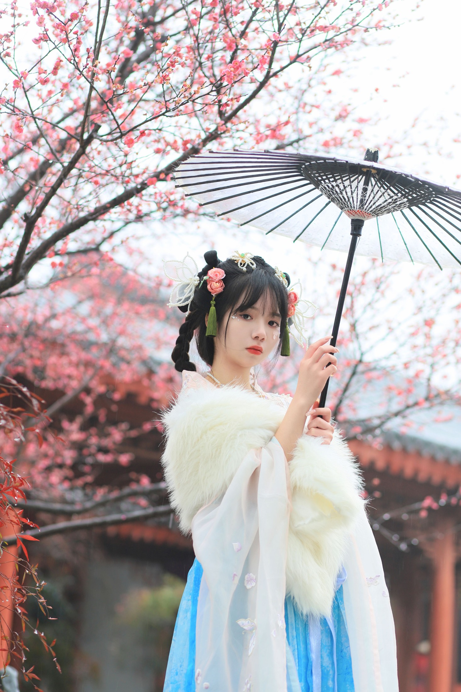 小杨 – 《落梅》[25P]