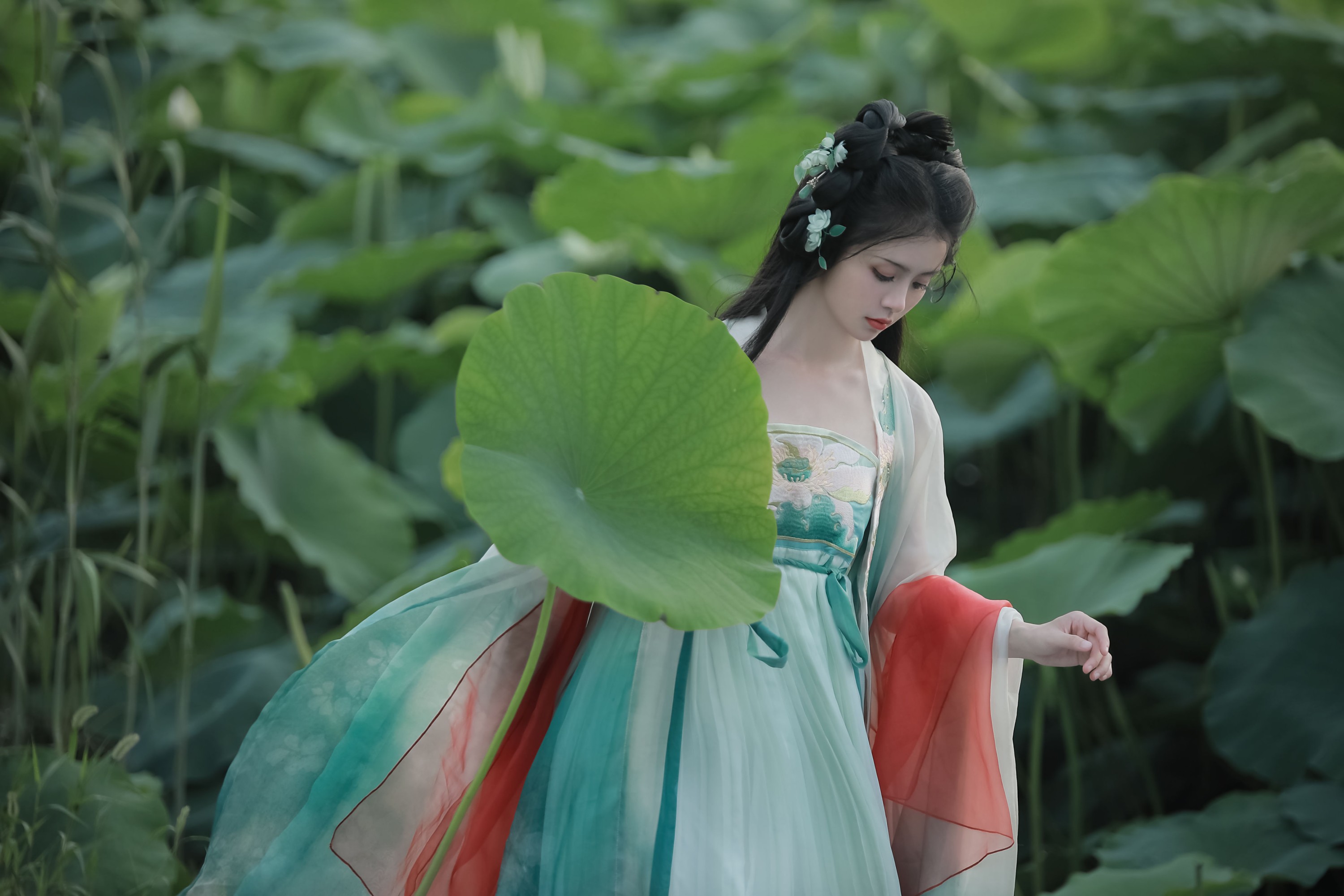 何香菇 – 《忆江南》[34P]