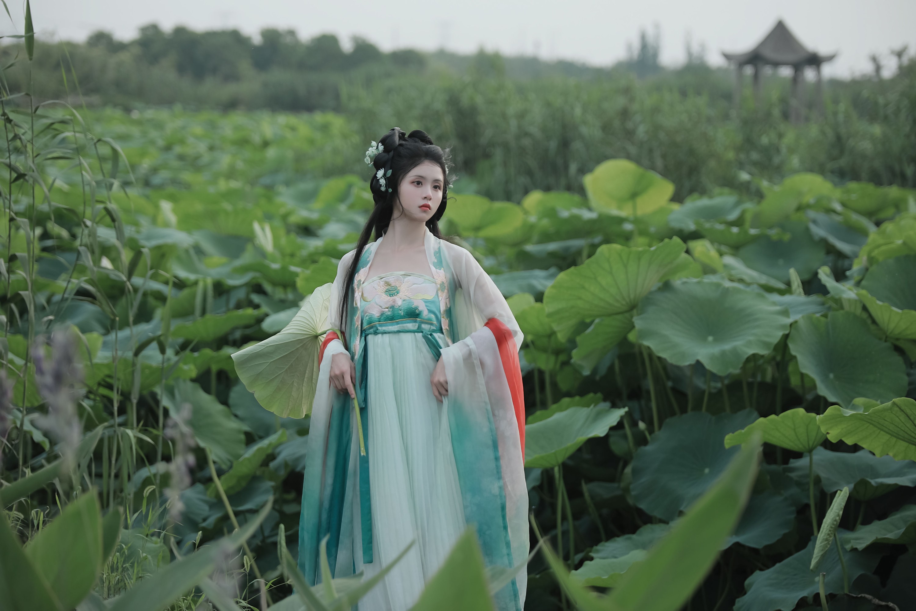 何香菇 – 《忆江南》[34P]