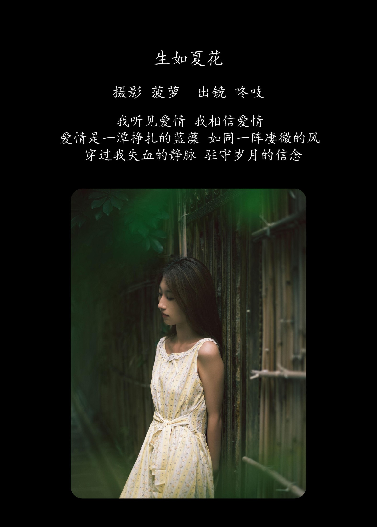 咚吱 – 《生如夏花》[21P]