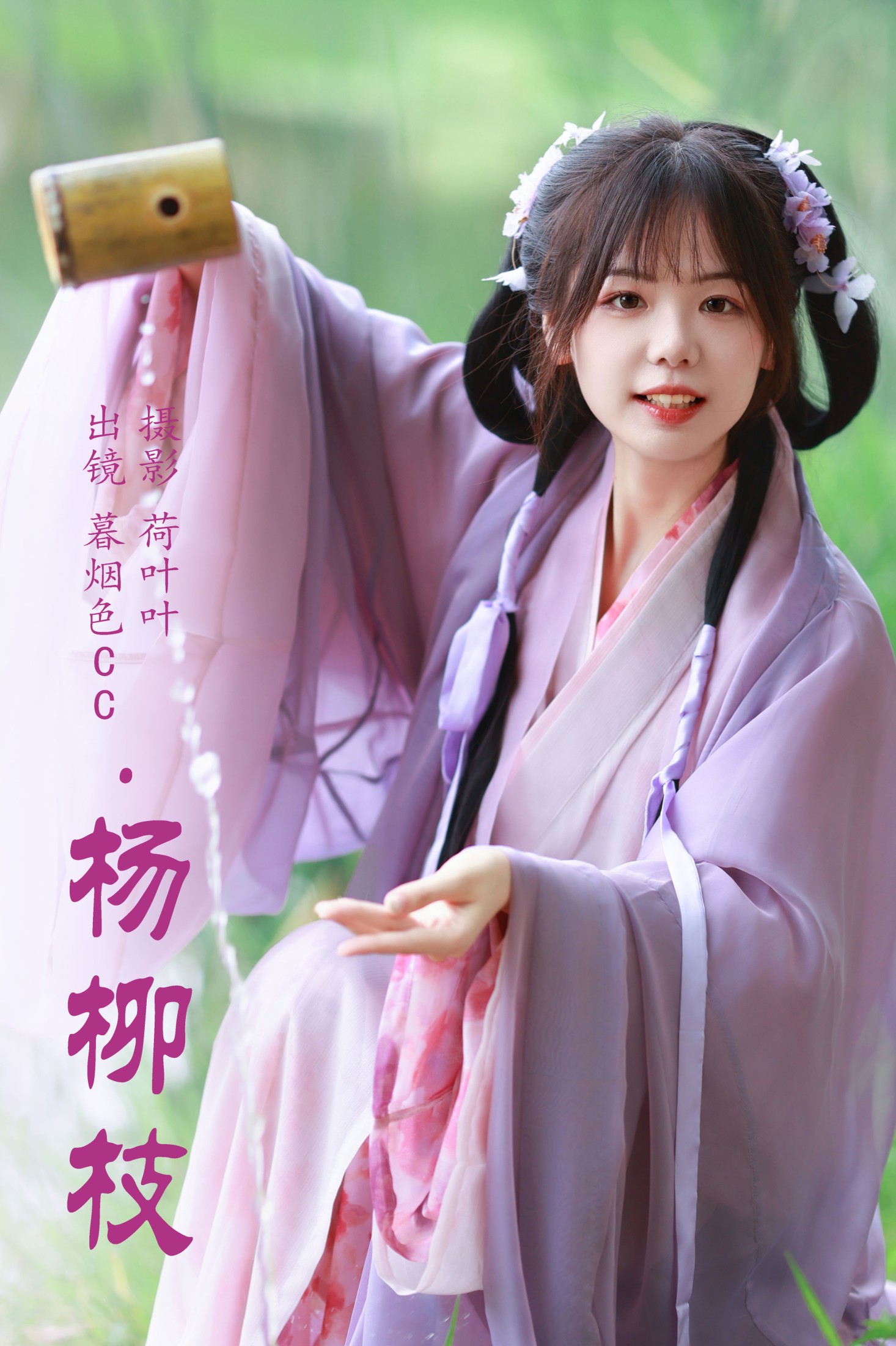 杨柳枝