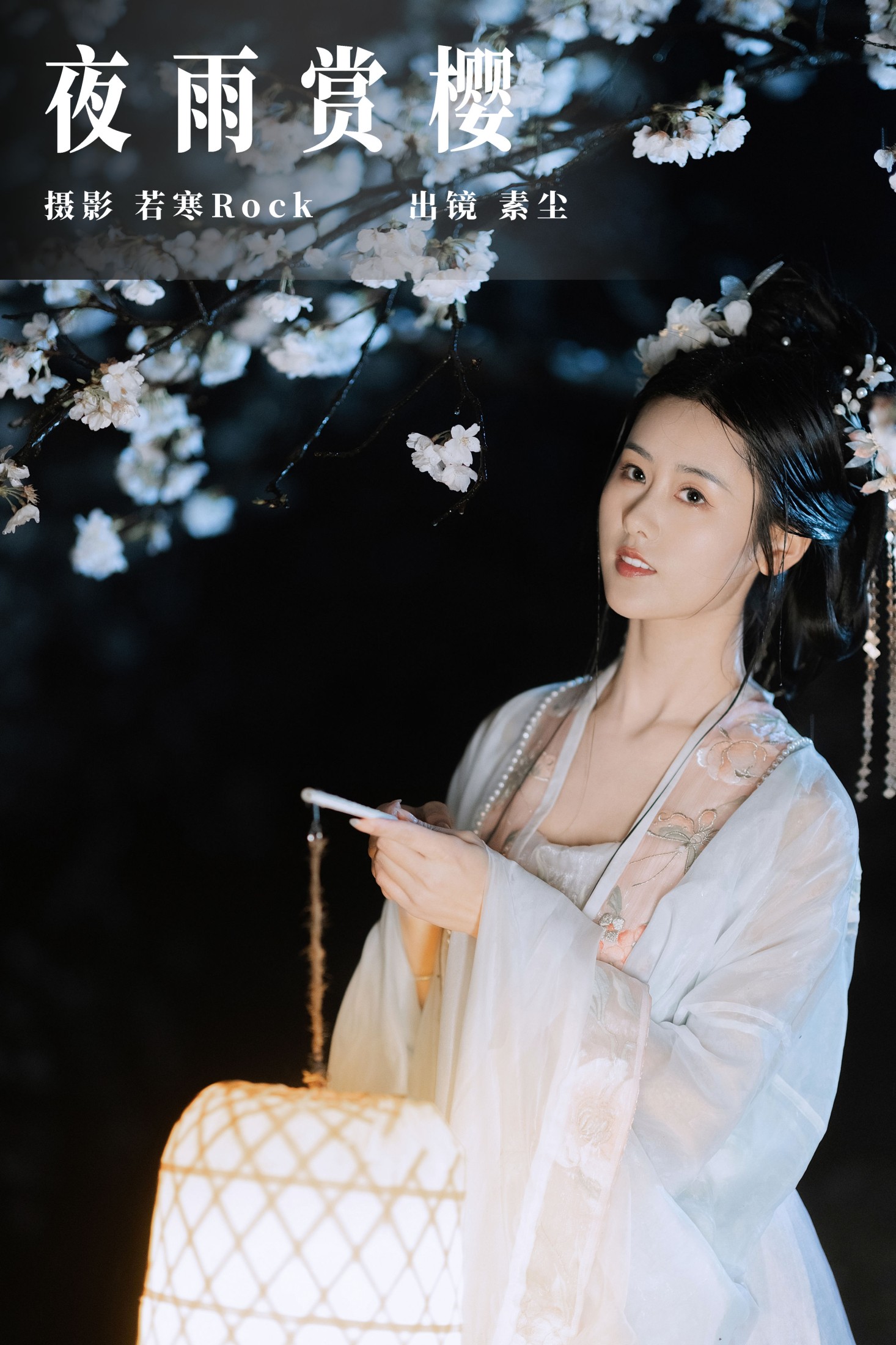 夜雨赏樱