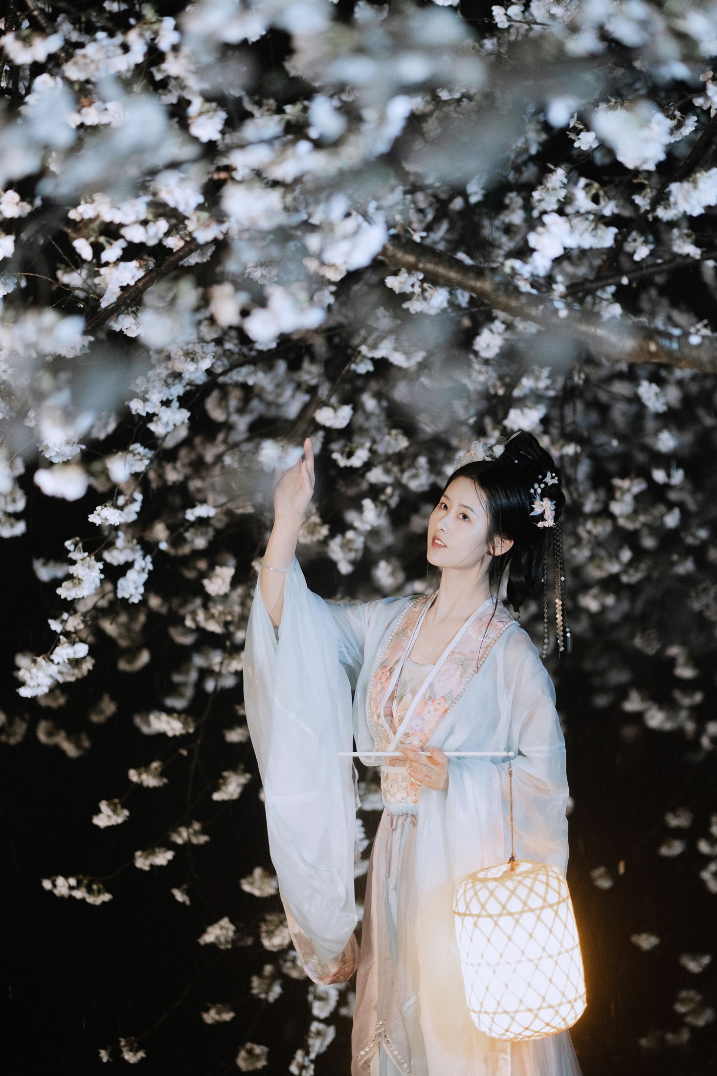 人间月-素尘 – 《夜雨赏樱》[44P]