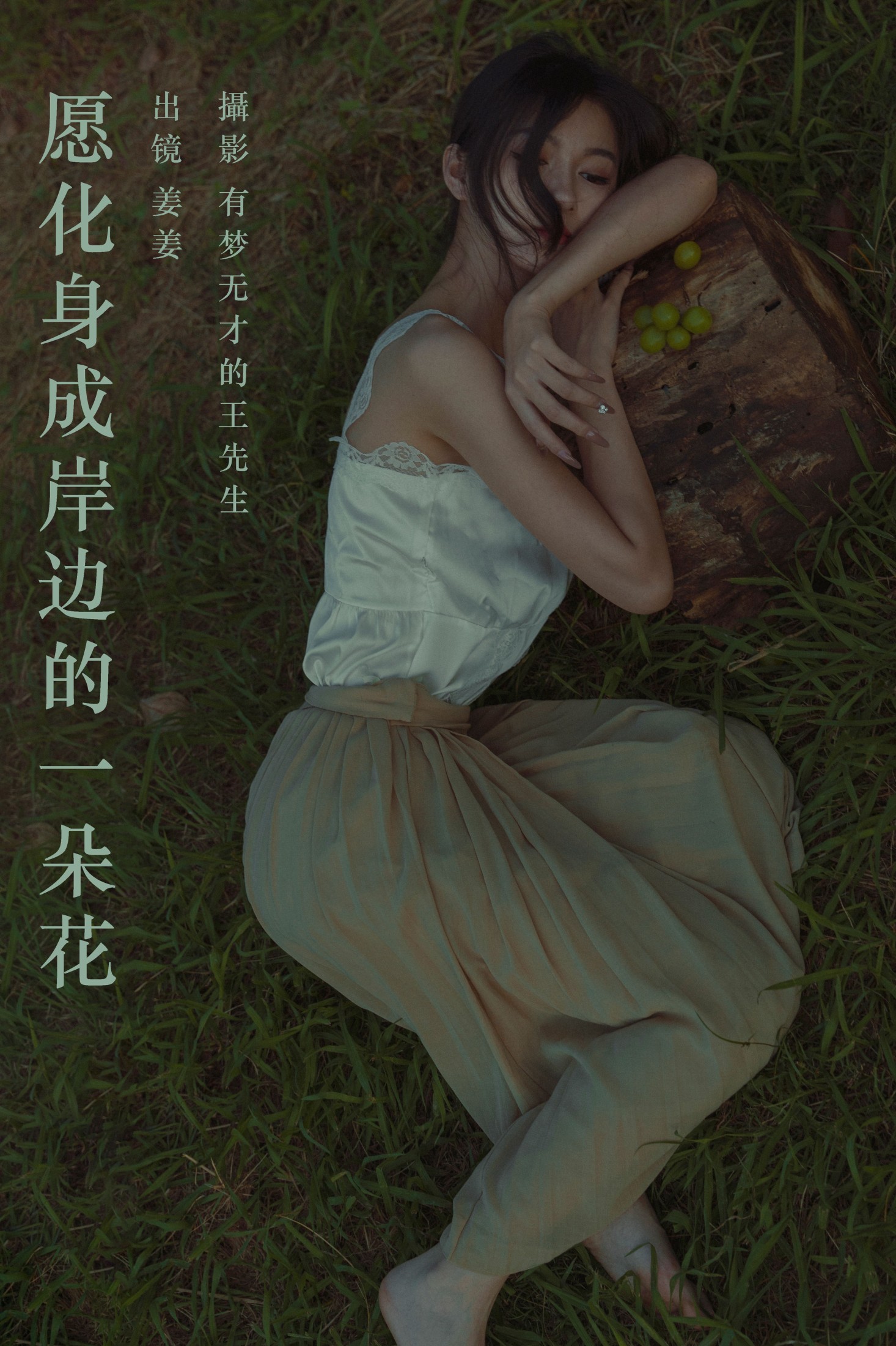 愿化身成岸边的一朵花