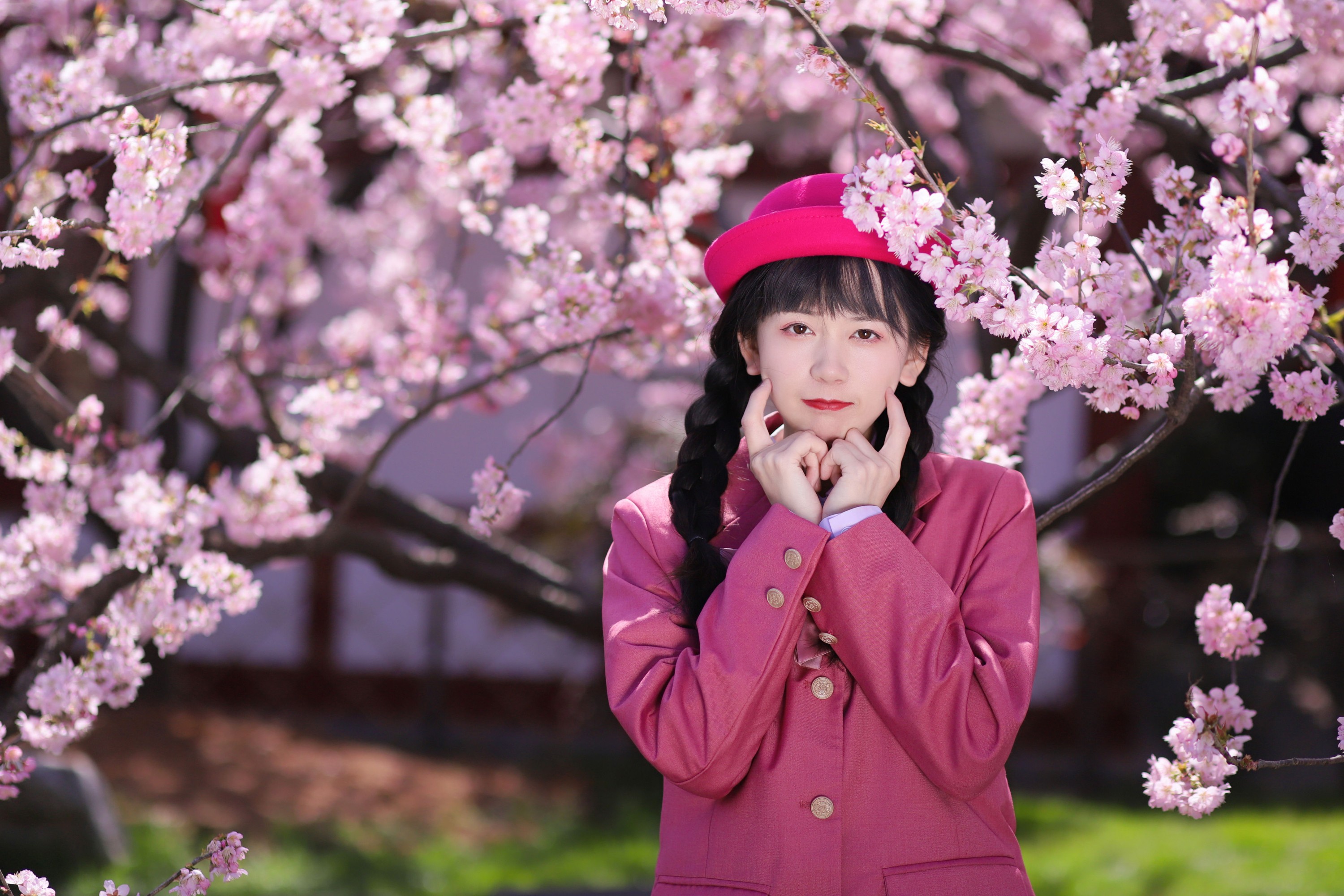 侧耳倾心听 – 《花之舞》[28P]