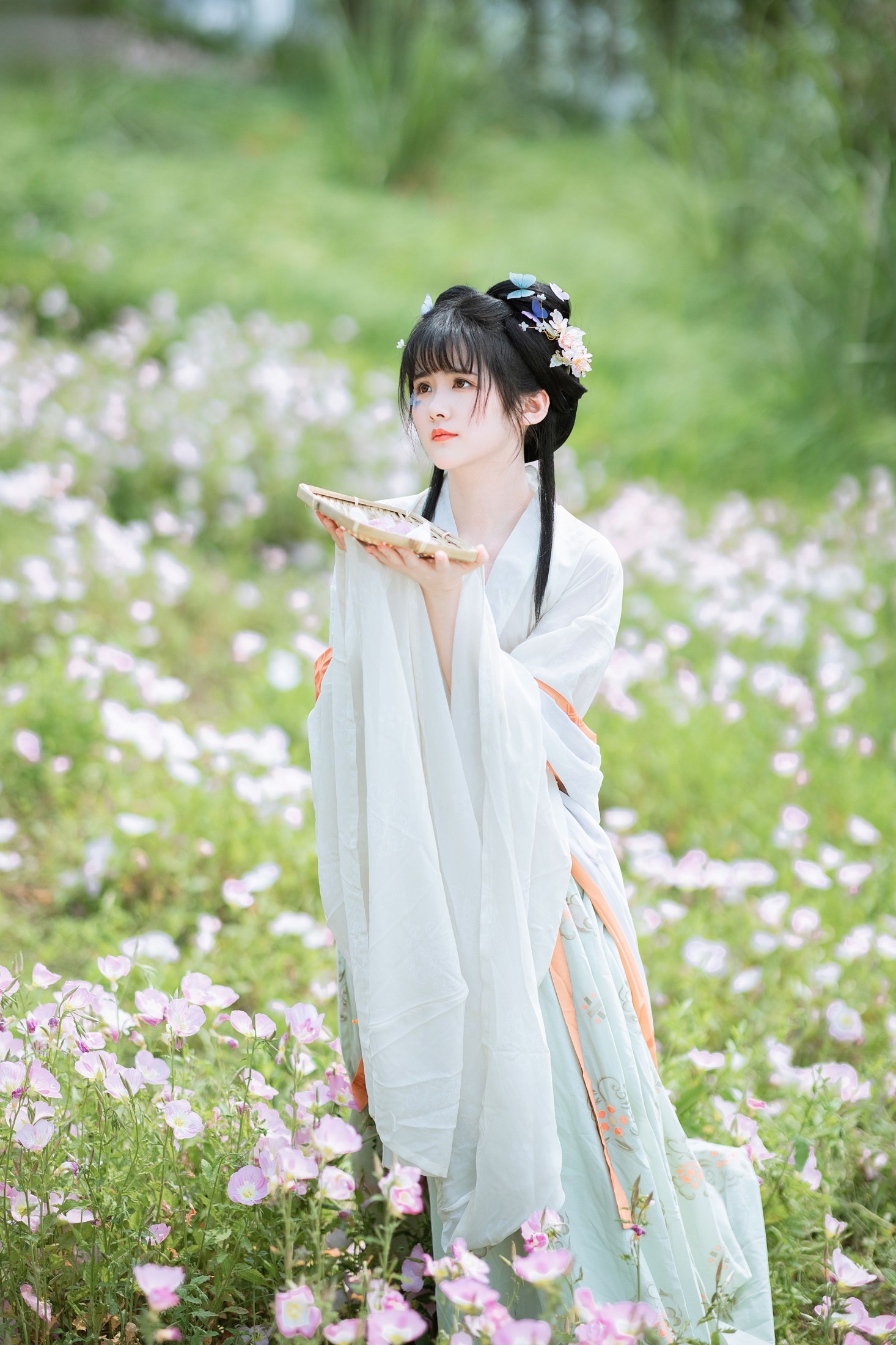 葵向火 – 《春之丽》[47P]