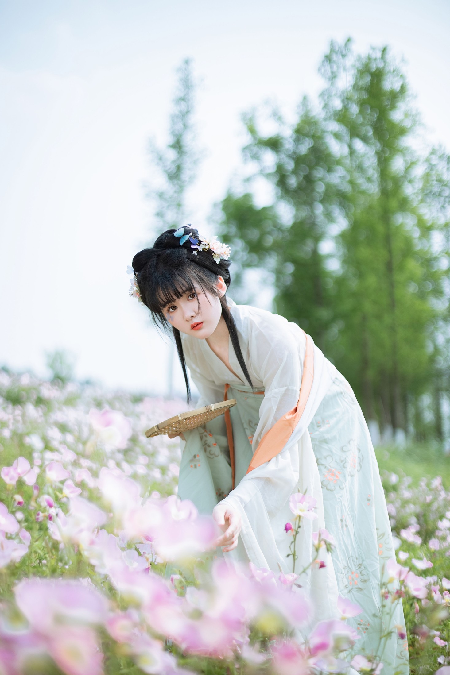 葵向火 – 《春之丽》[47P]